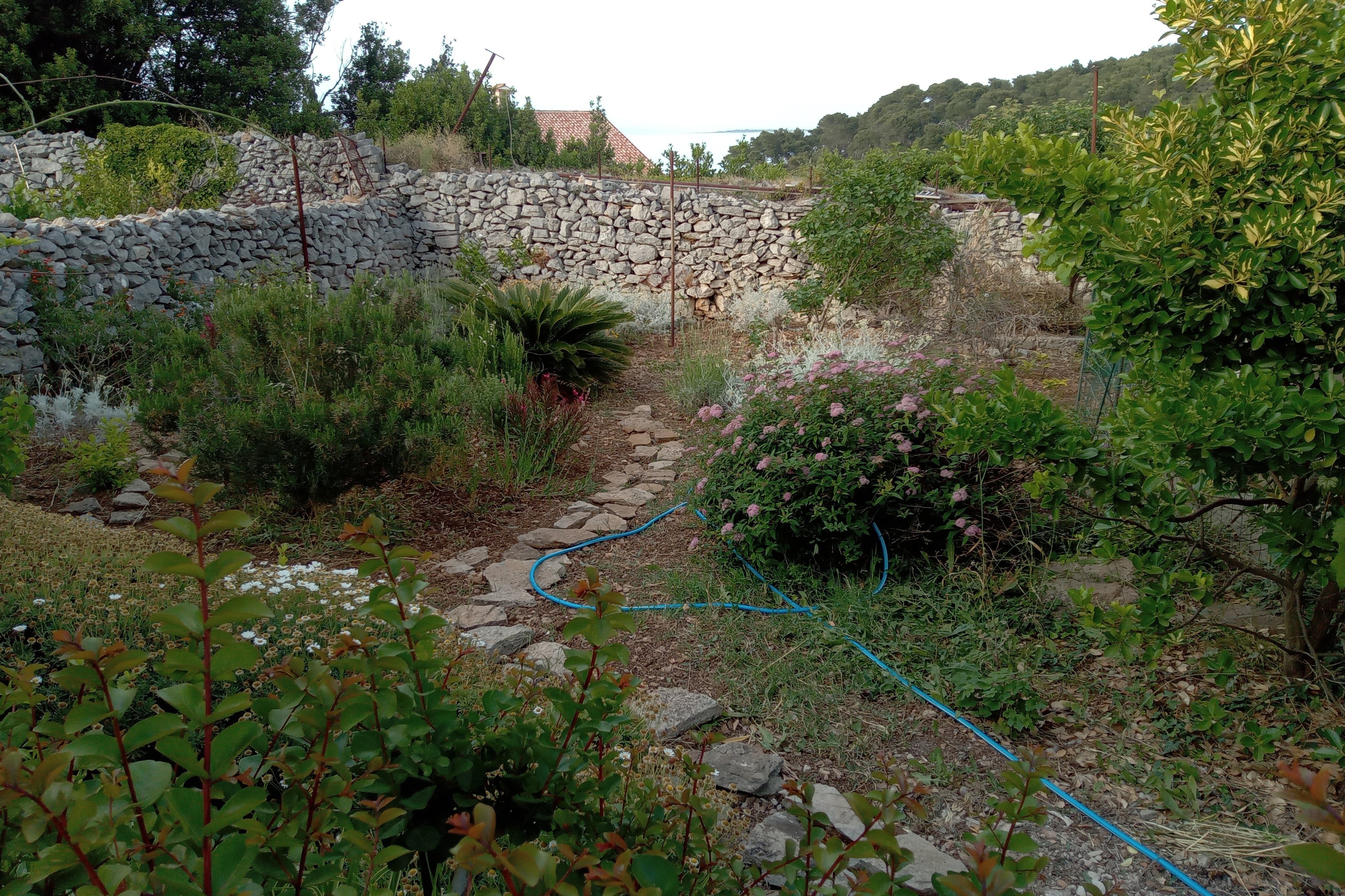 Top Lošinj Veli Lošinj Top Lošinj Veli Lošinj