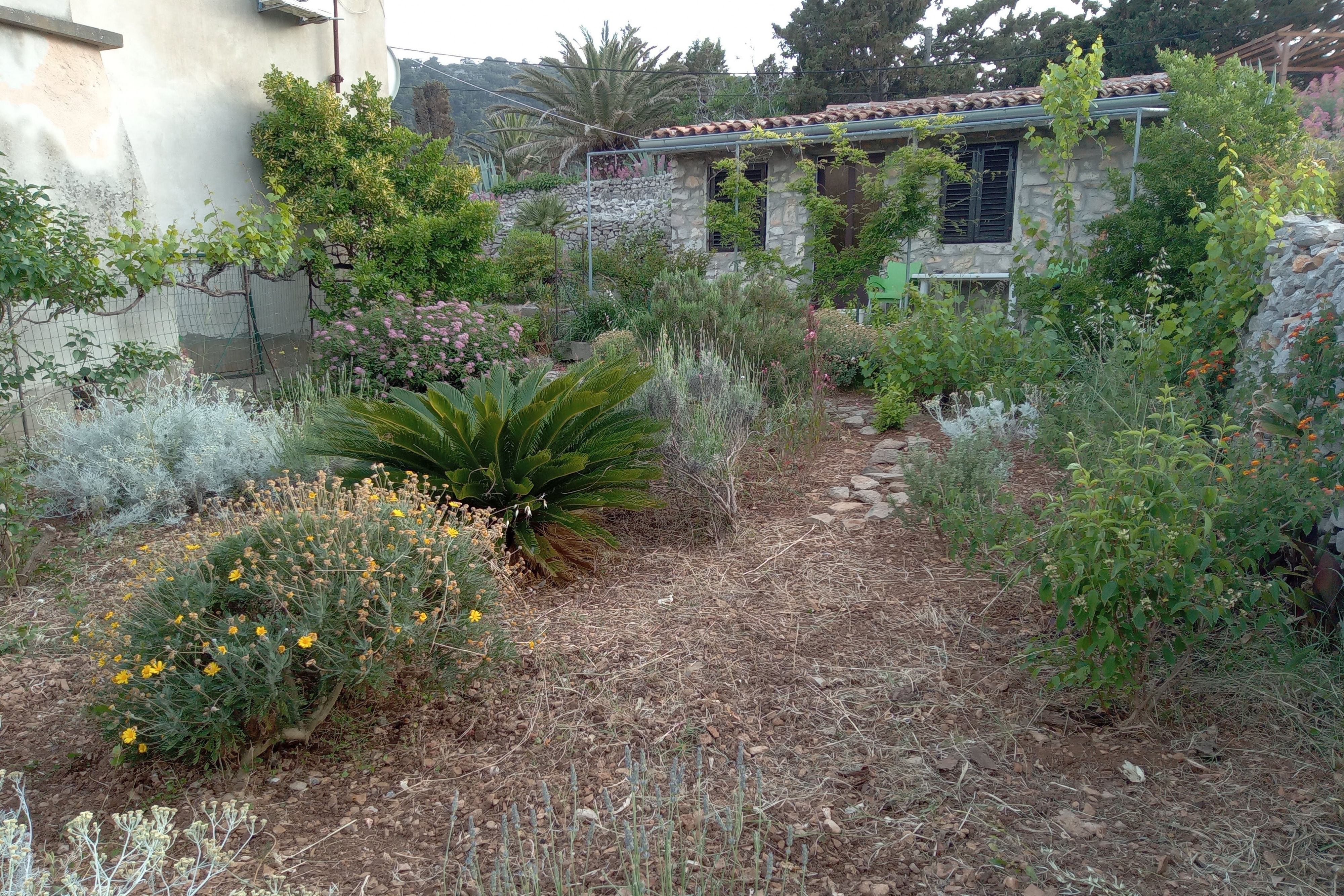 Top Lošinj Veli Lošinj Top Lošinj Veli Lošinj