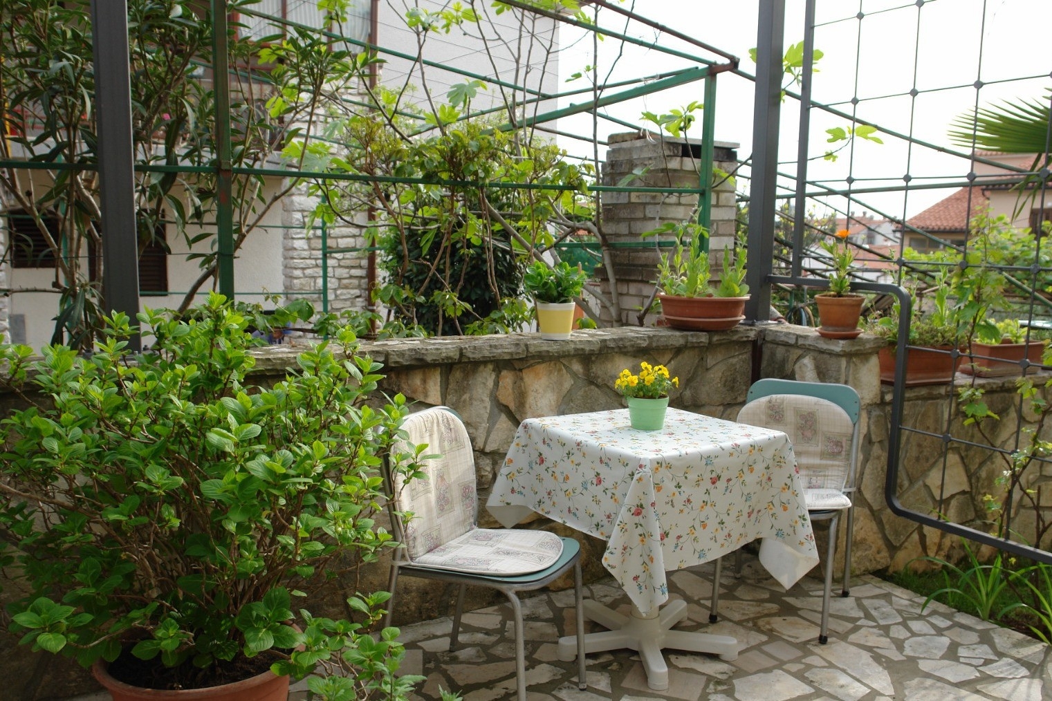 Room with terrace Poreč (S-24373-a) Room with terrace Poreč (S-24373-a)