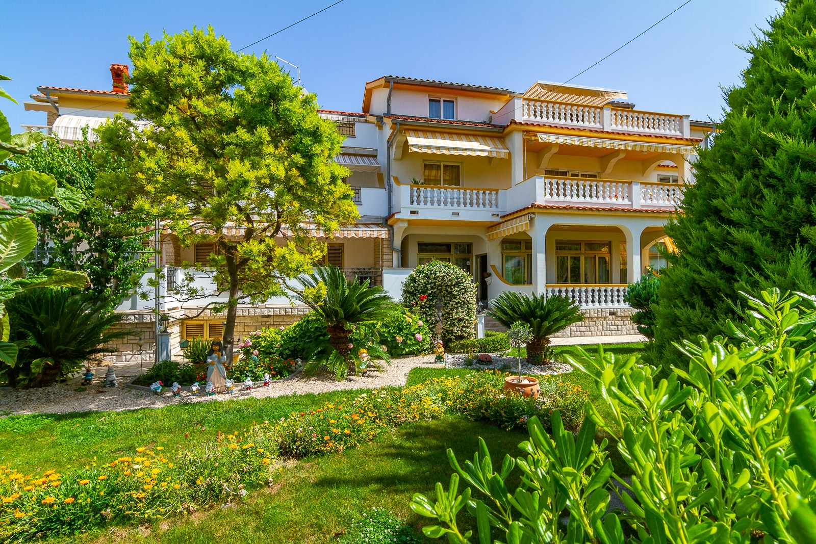 Top Rab Palit Top Rab Palit