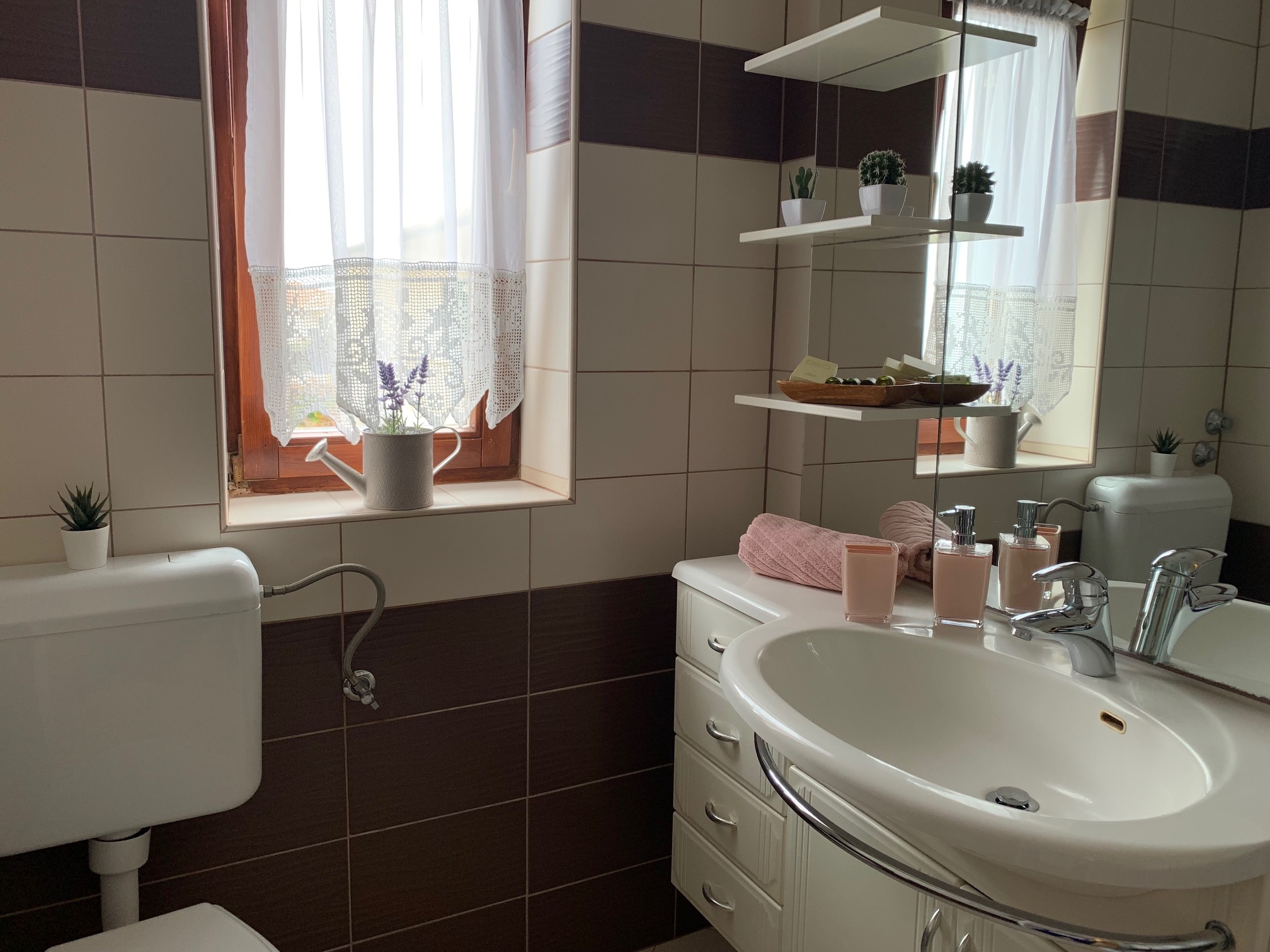 Top Pag Povljana Top Pag Povljana