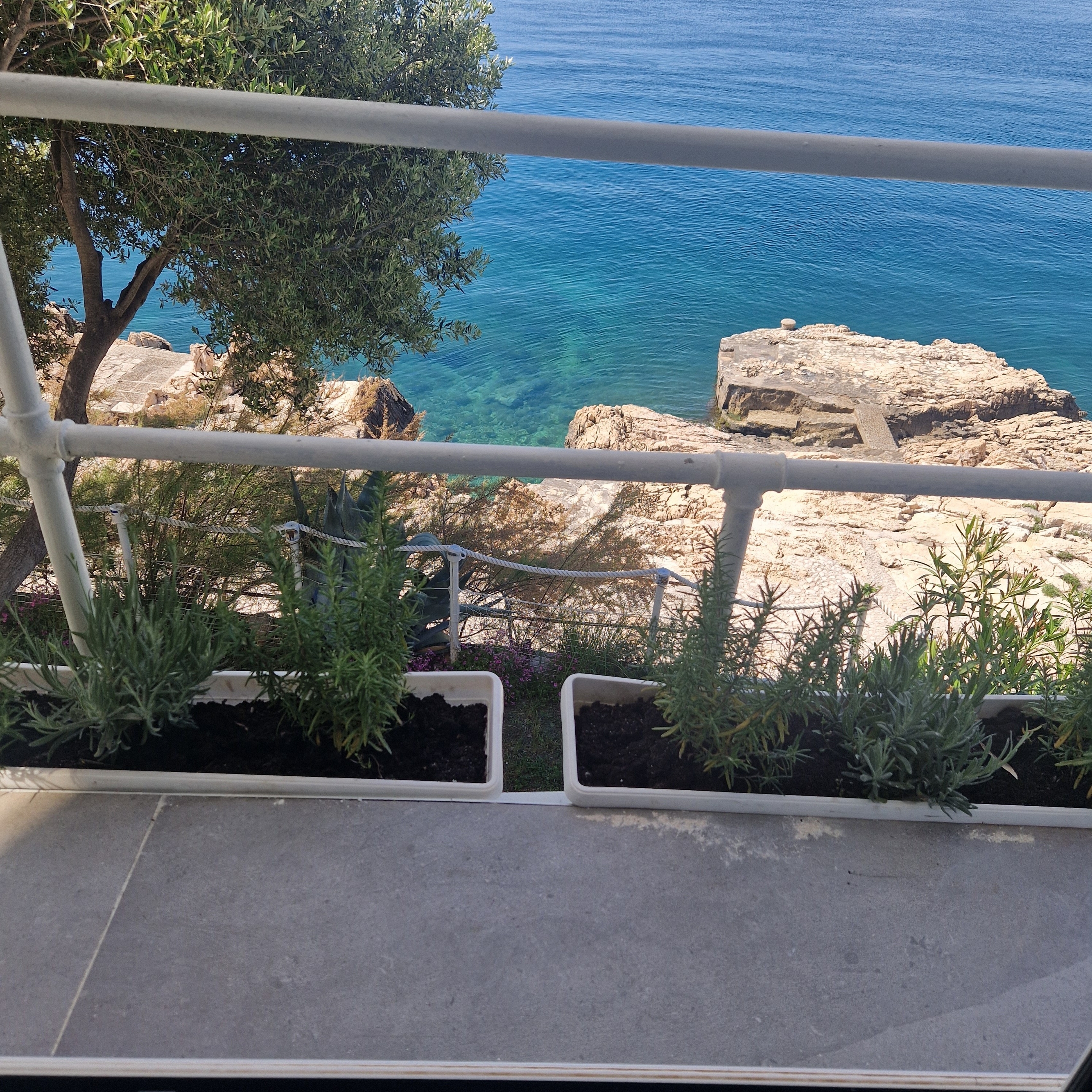 Top Novi Vinodolski Top Novi Vinodolski