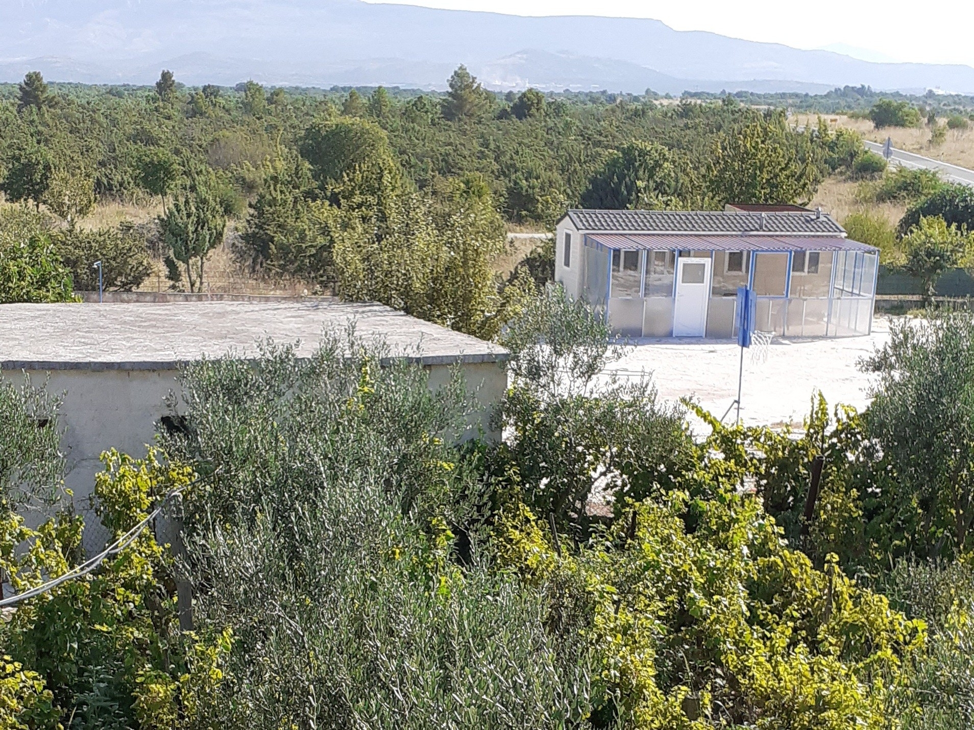 Top Zagora Pakovo Selo Top Zagora Pakovo Selo