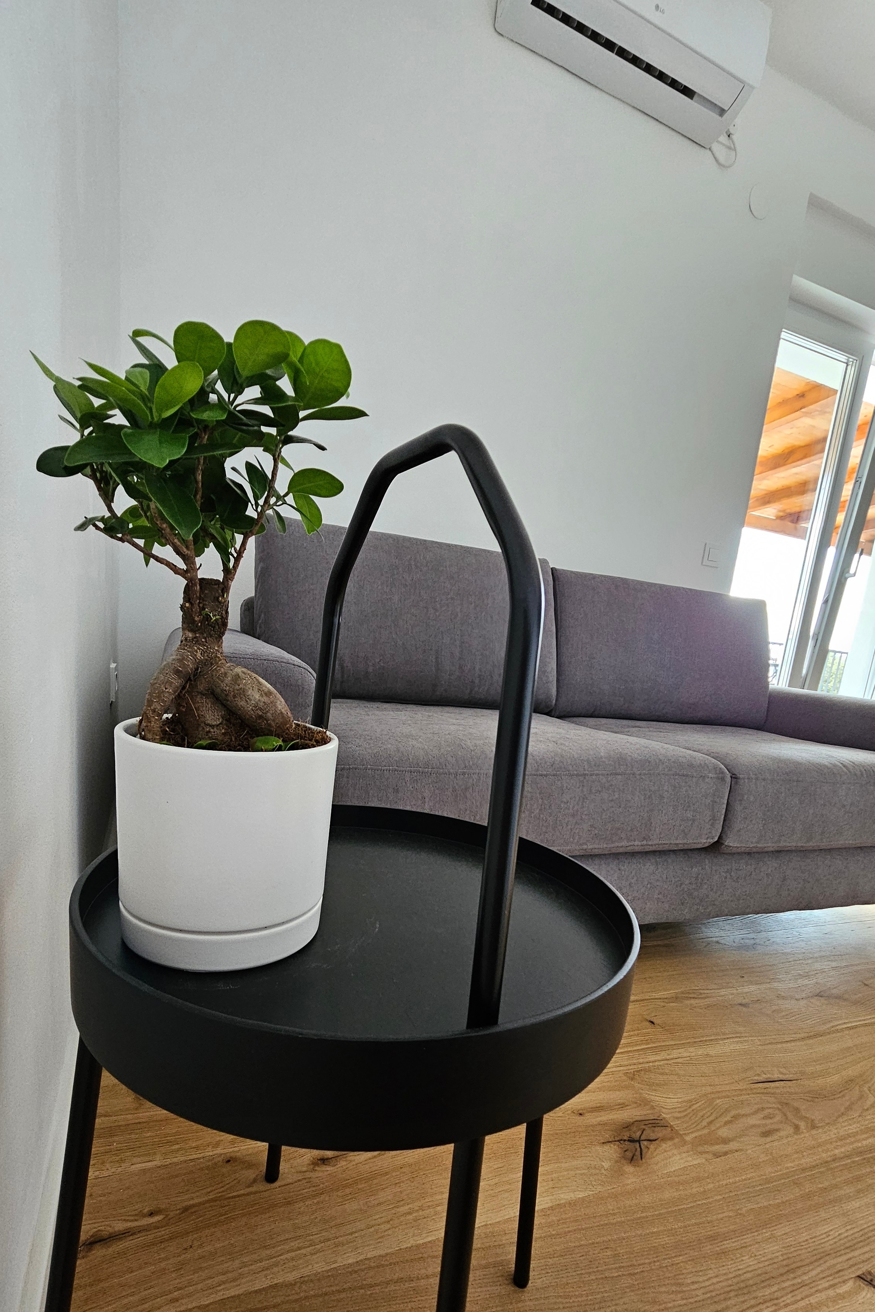 Top Pag Mandre Top Pag Mandre