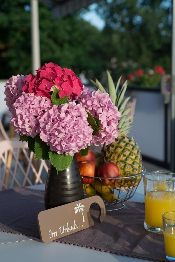 Top Novi Vinodolski Donji Zagon Top Novi Vinodolski Donji Zagon