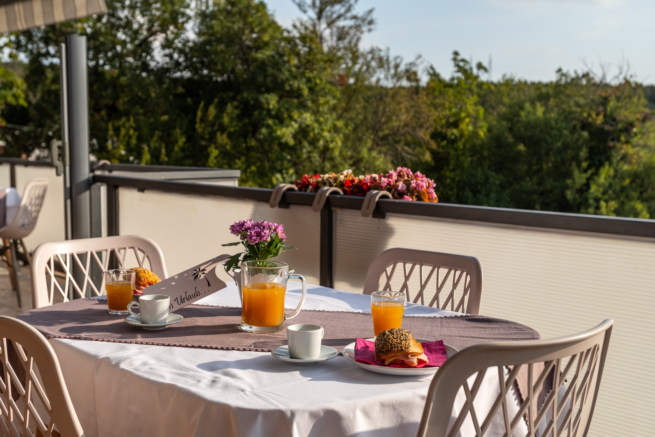 Top Novi Vinodolski Donji Zagon Top Novi Vinodolski Donji Zagon