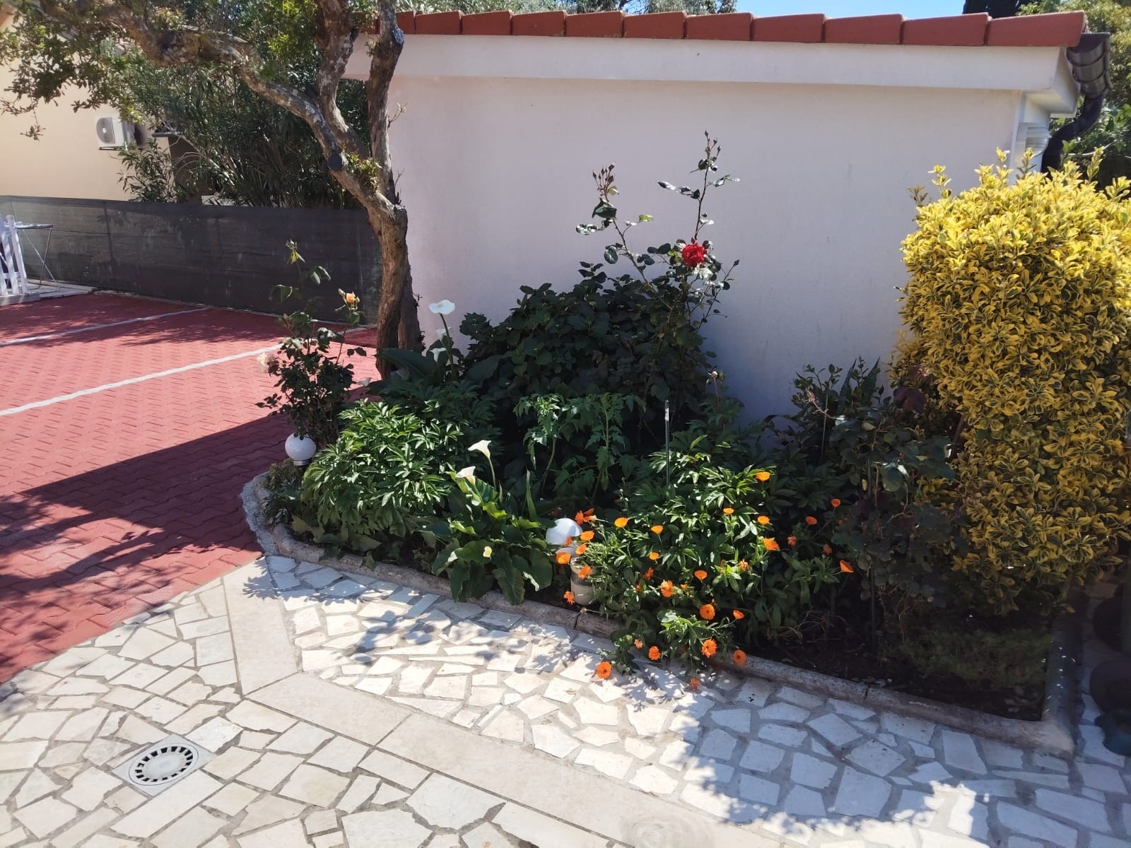 Jednosobni apartman s terasom Medulin  A-a