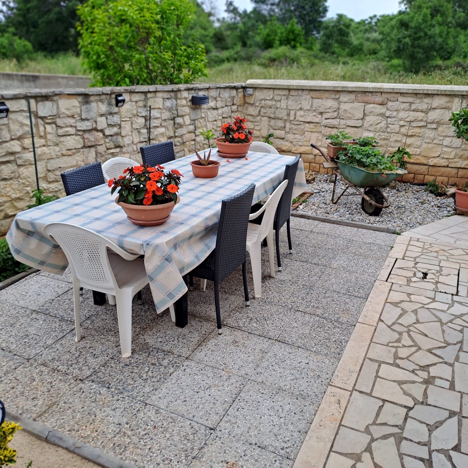 Top Medulin Top Medulin