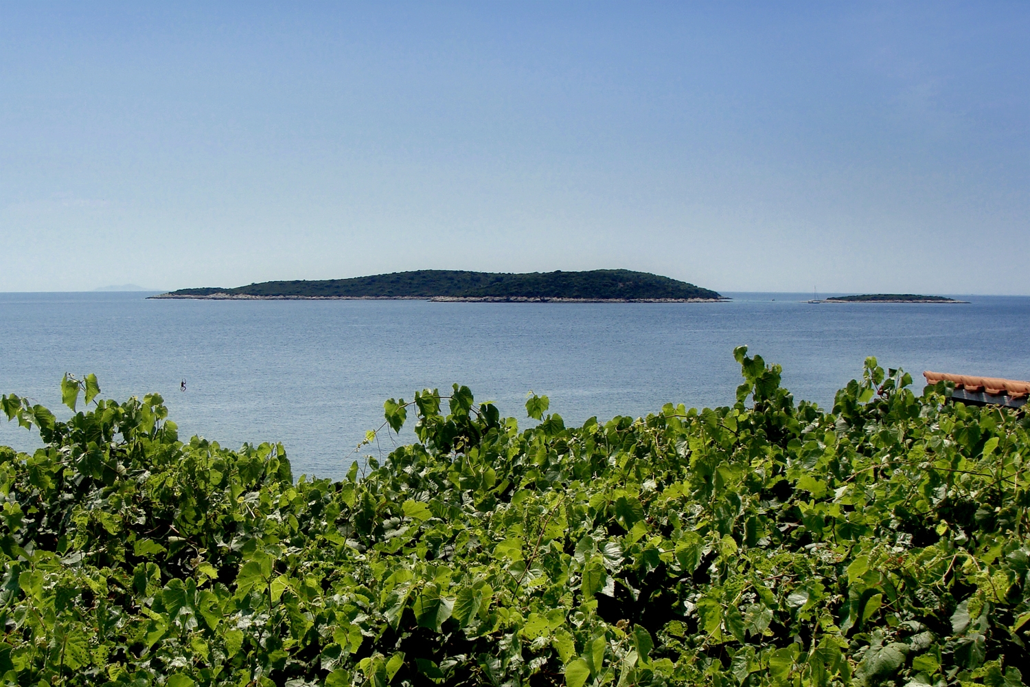 One bedroom apartment near beach Milna, Vis  A-b