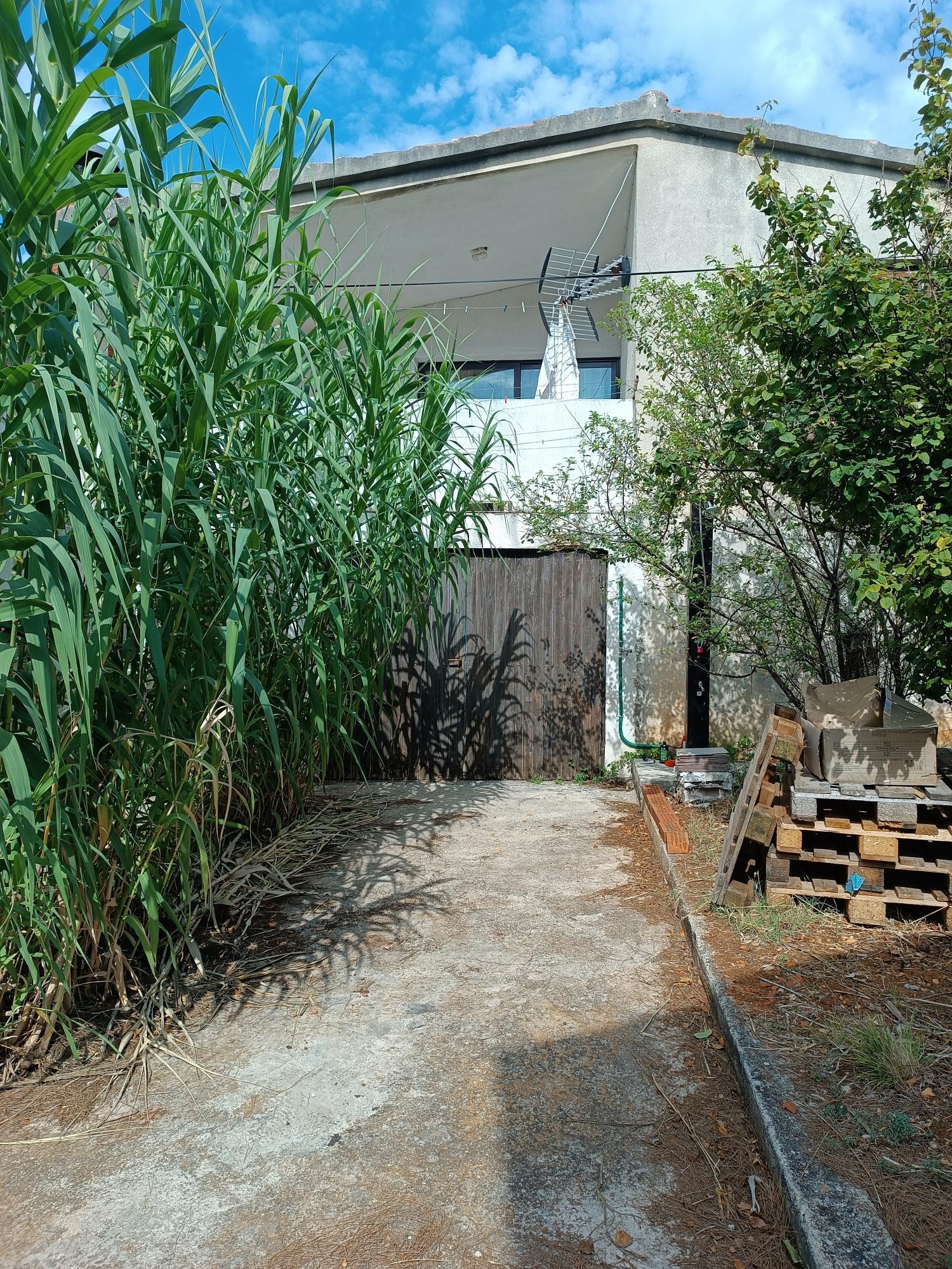 Top Molat Brgulje Top Molat Brgulje