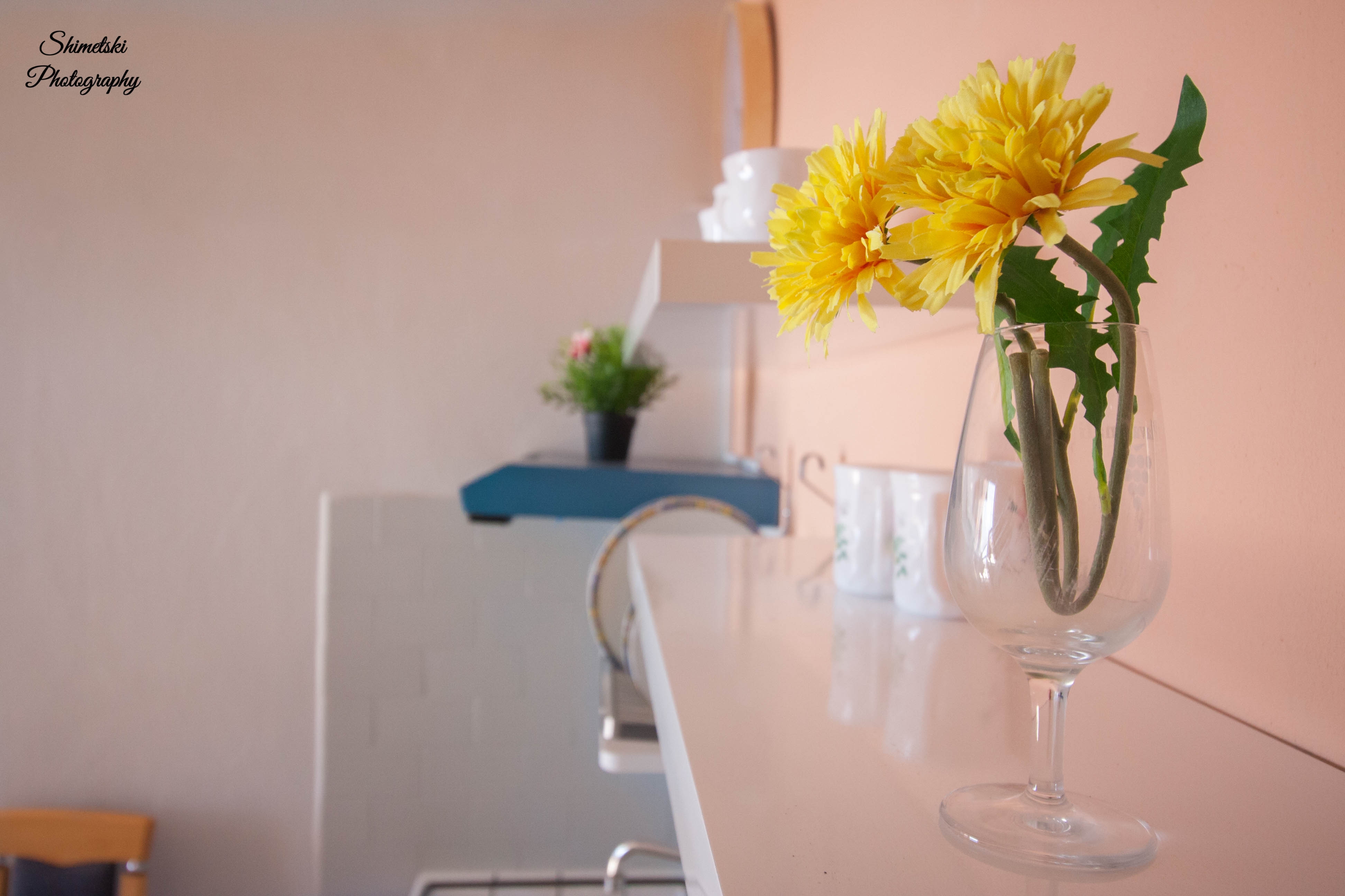 Top Korčula Zavalatica Top Korčula Zavalatica