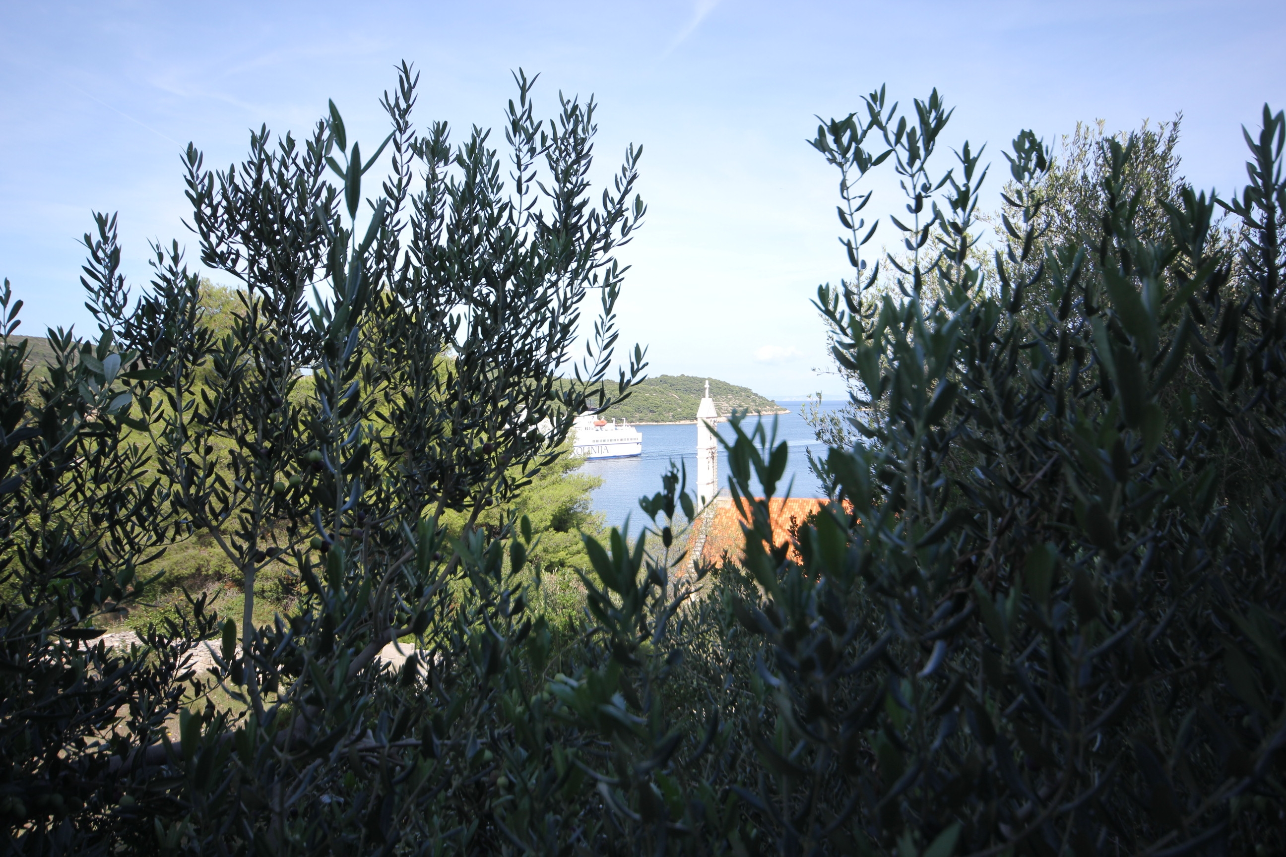 One bedroom apartment with terrace Vis (A-2470-b)