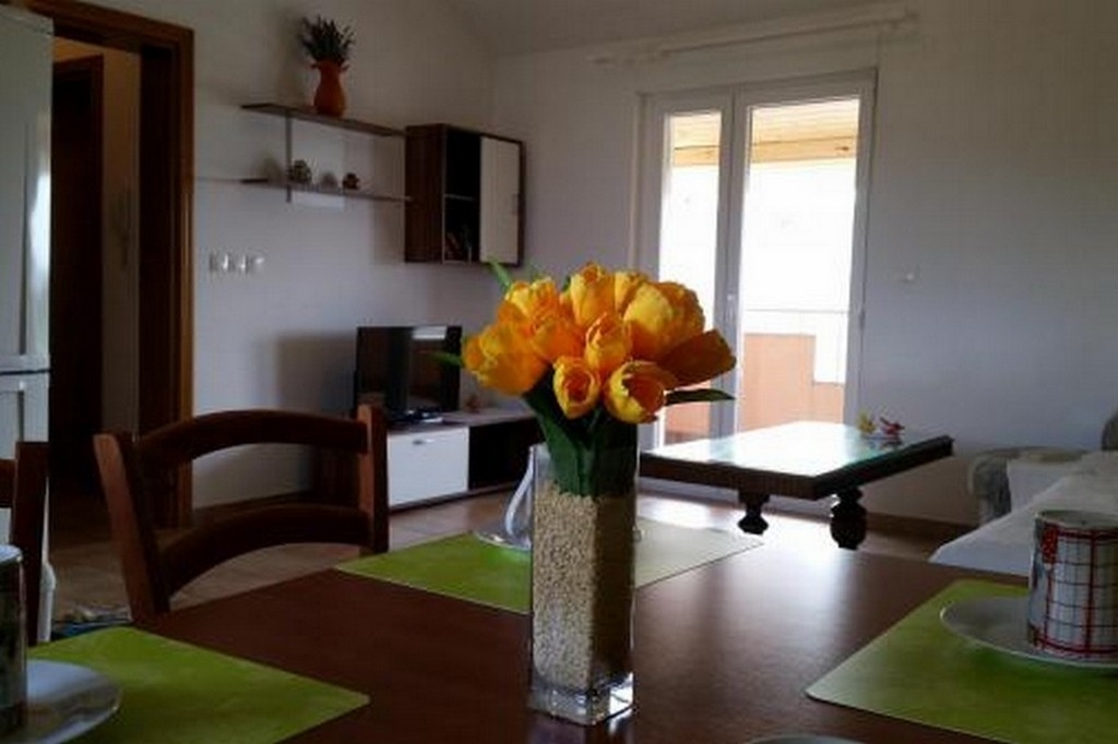 Top Biograd Sveti Filip i Jakov Top Biograd Sveti Filip i Jakov