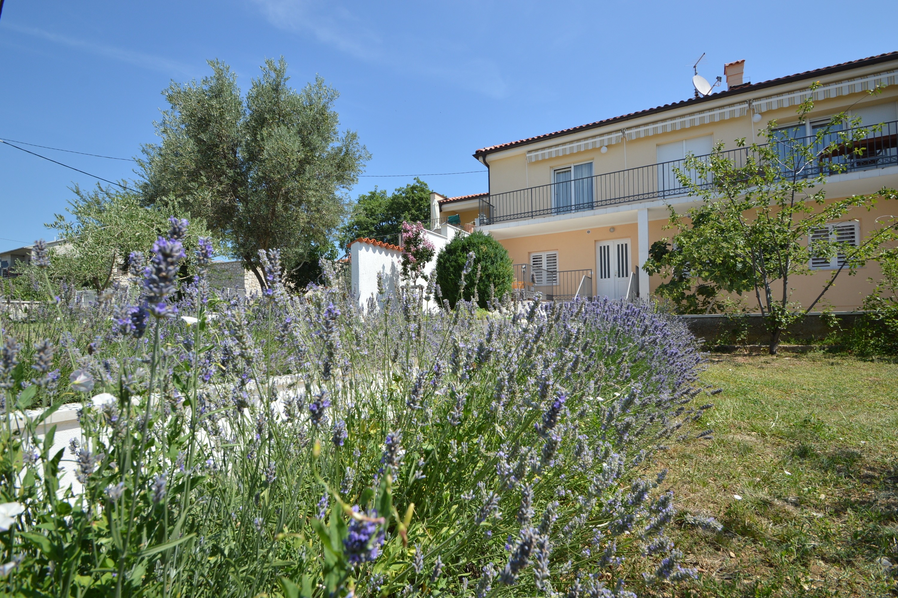 Top Novi Vinodolski Top Novi Vinodolski