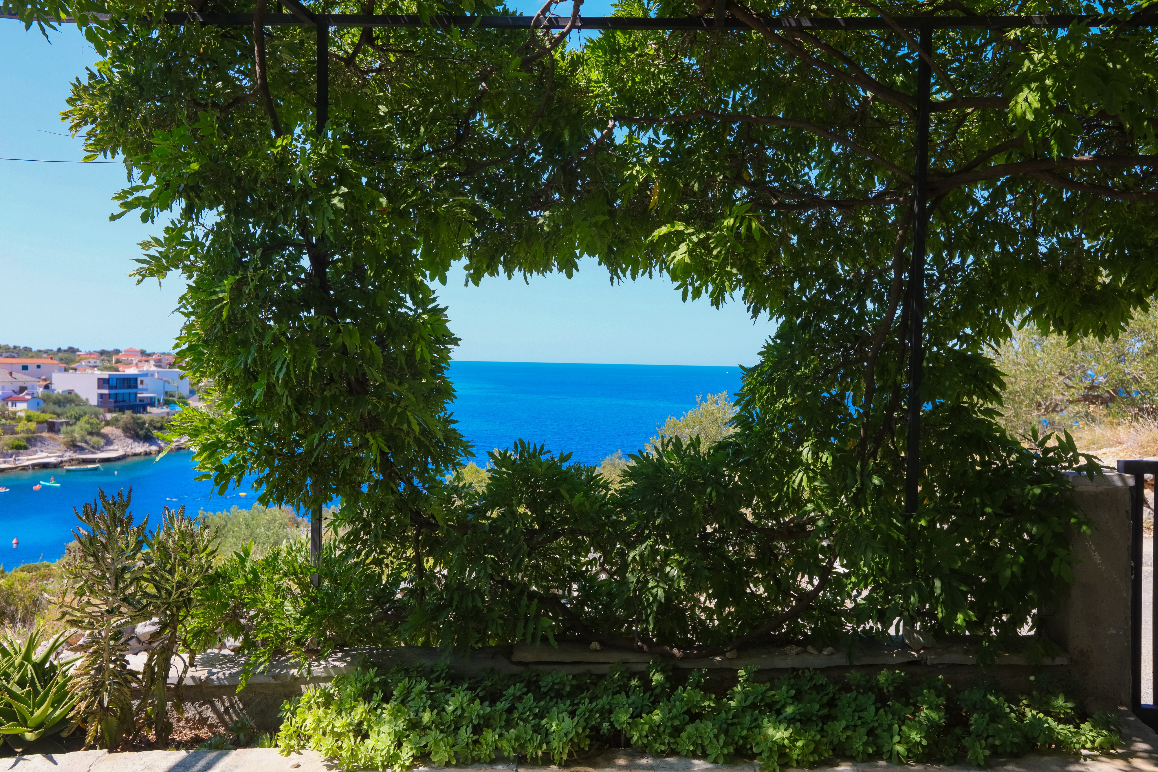 Top Rogoznica Kanica Top Rogoznica Kanica