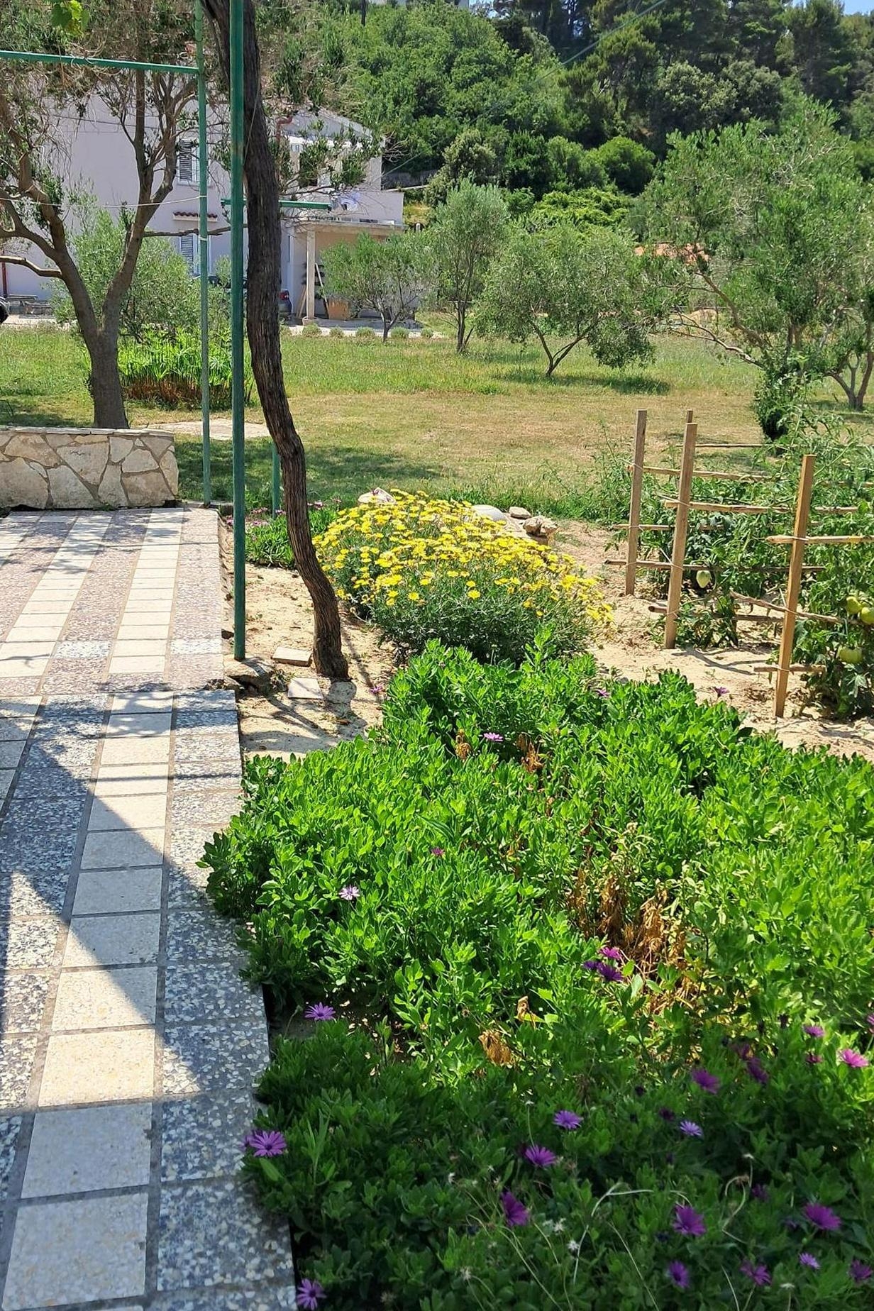 Enosobni apartma S teraso in pogledom na morje Rab  A-a