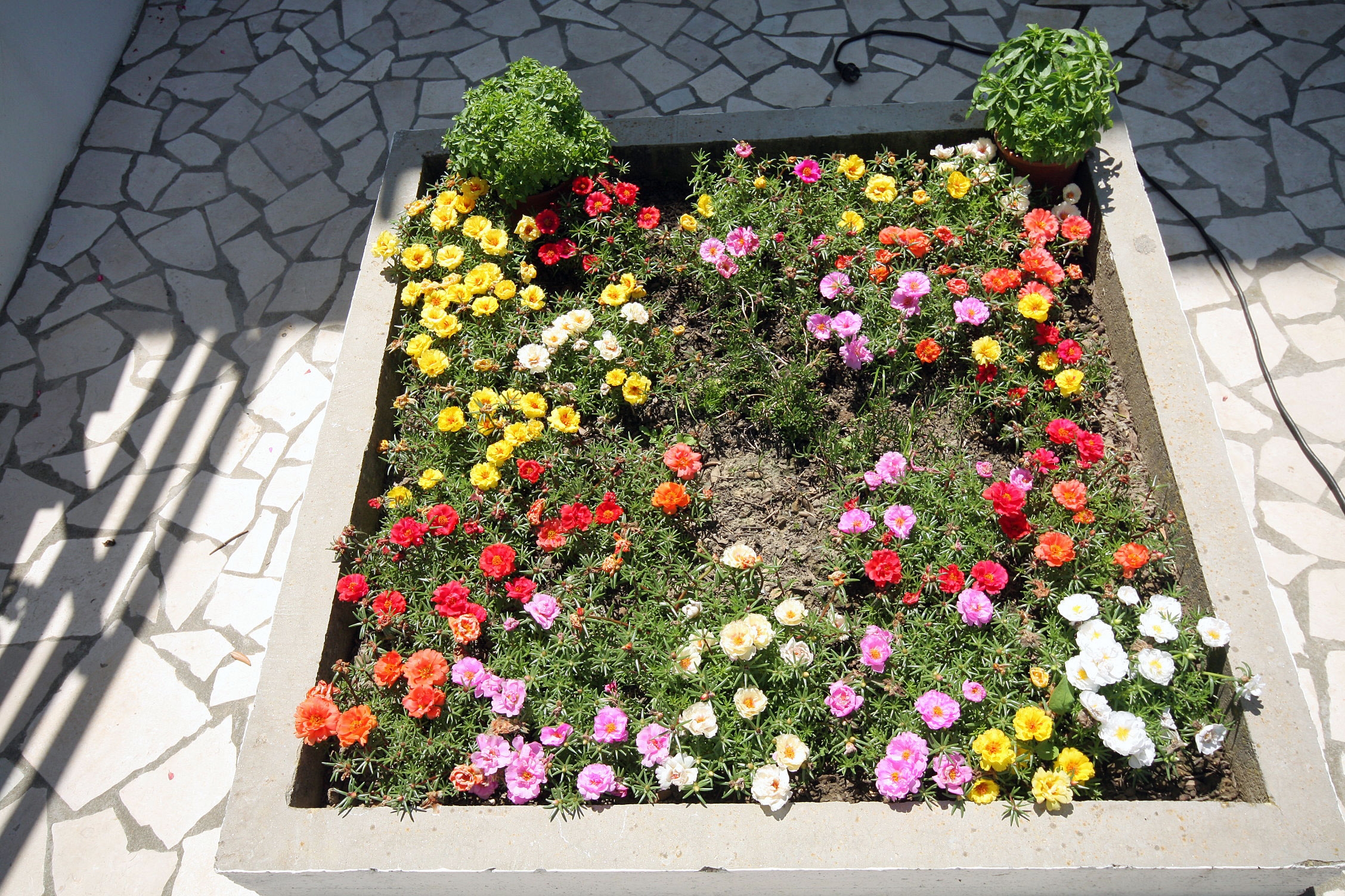 Enosobni apartma S teraso in pogledom na morje Rab  A-a