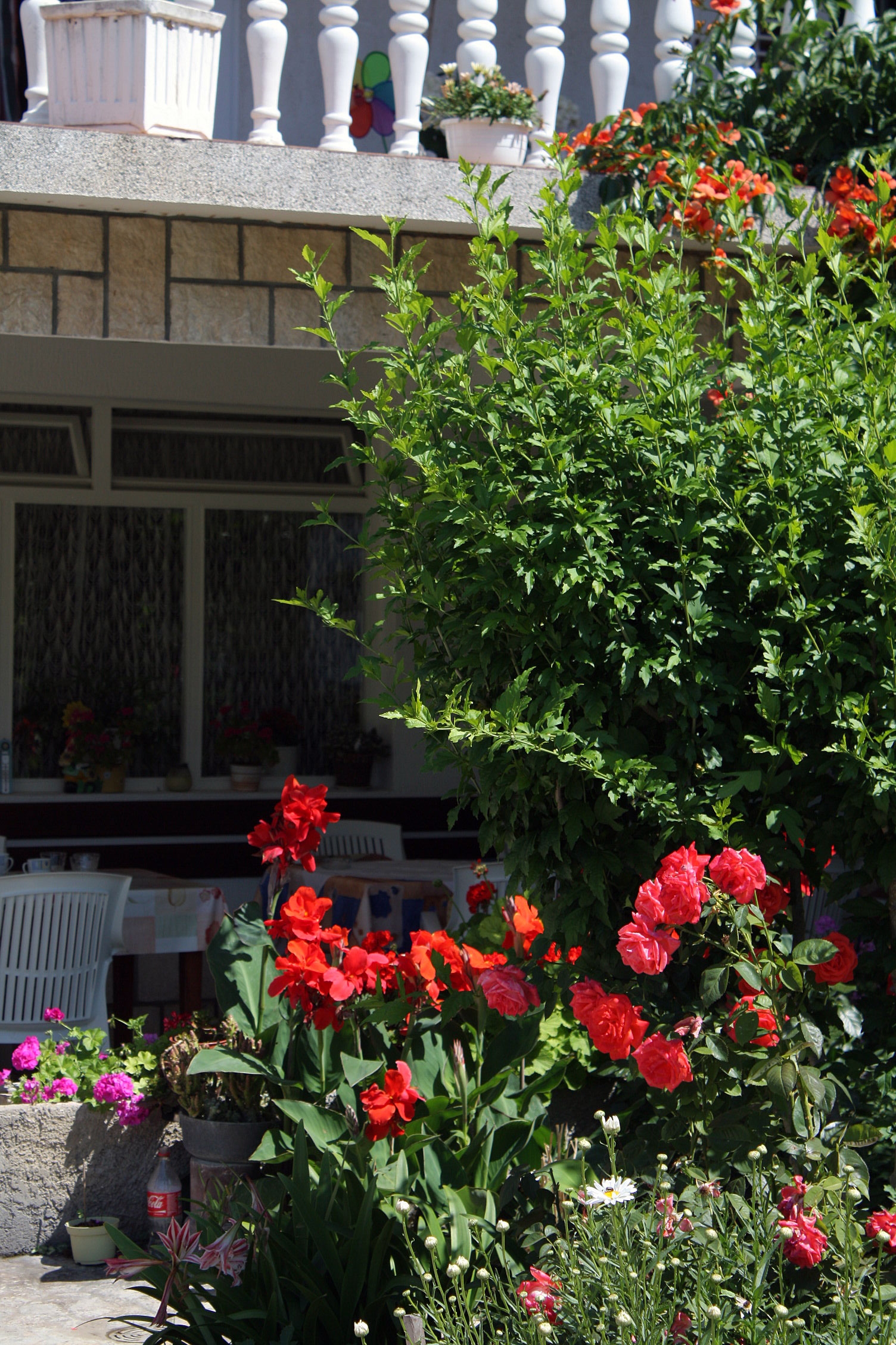 Enosobni apartma S teraso in pogledom na morje Rab  A-a