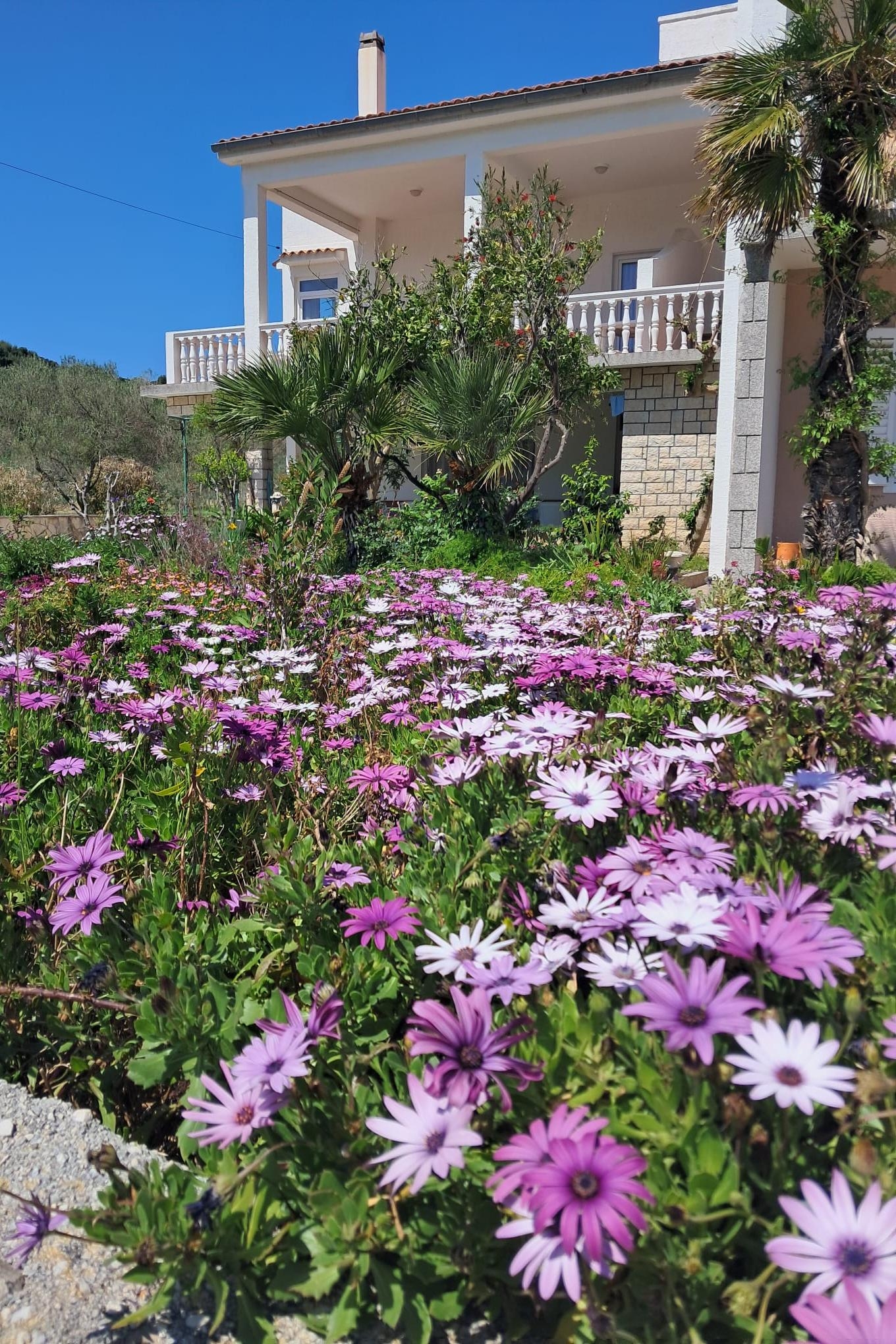 Enosobni apartma S teraso in pogledom na morje Rab  A-a