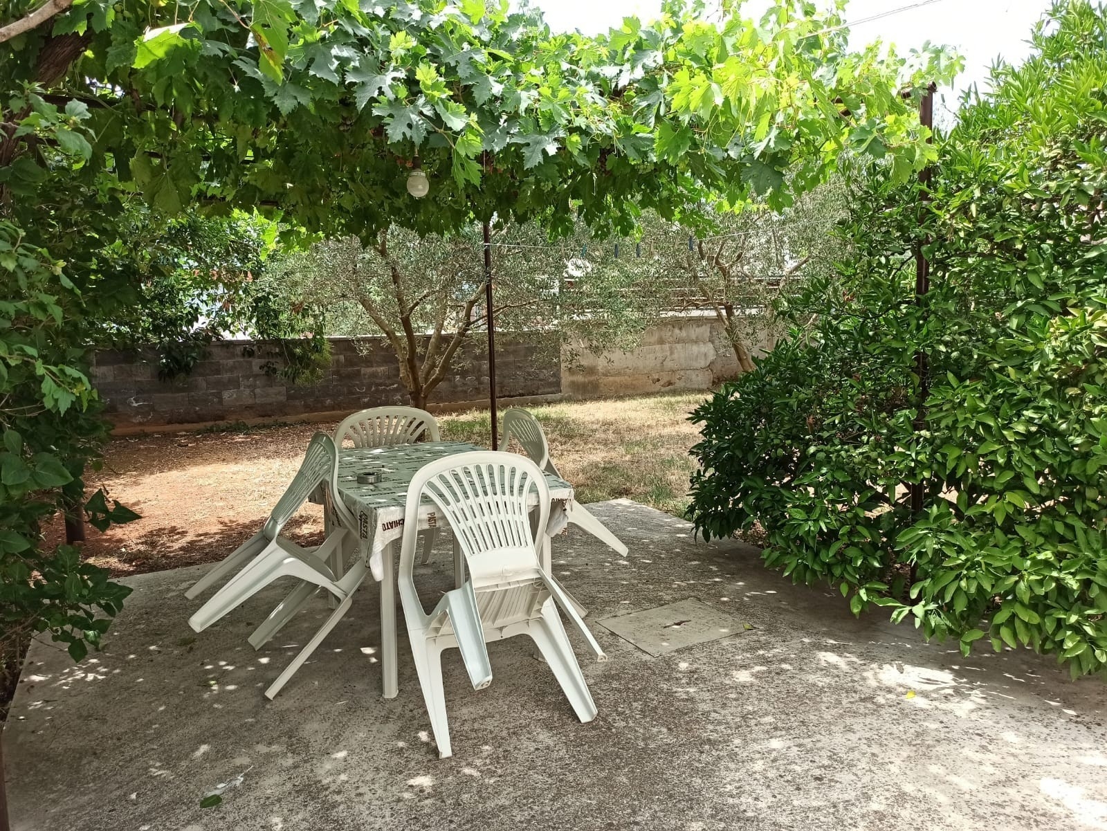 Top Biograd Biograd na Moru Top Biograd Biograd na Moru