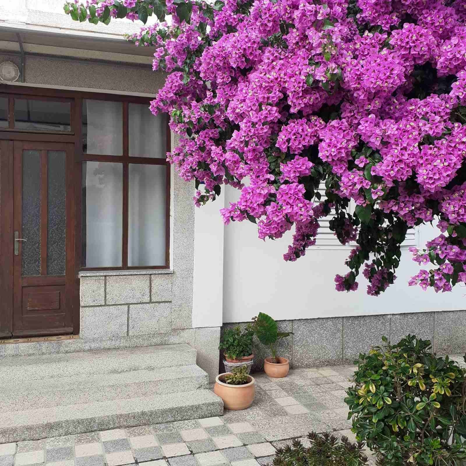 One bedroom apartment with terrace Rab  A-a