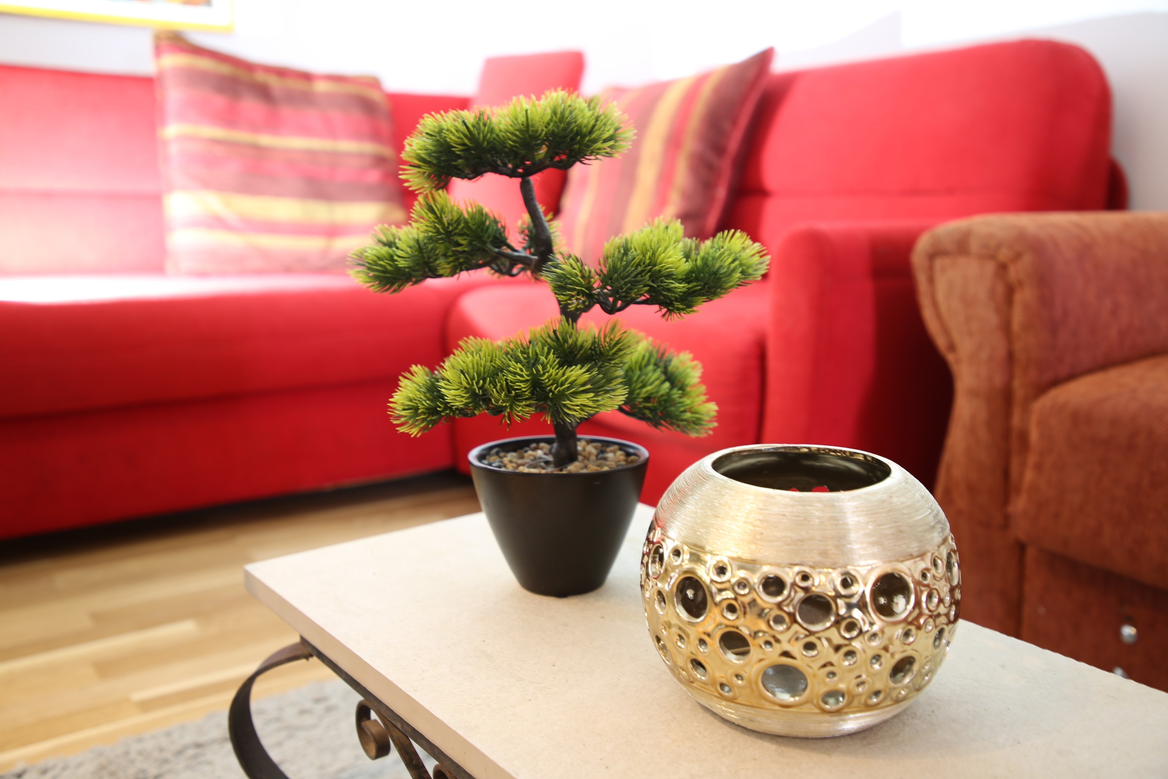 Top Paklenica Seline Top Paklenica Seline