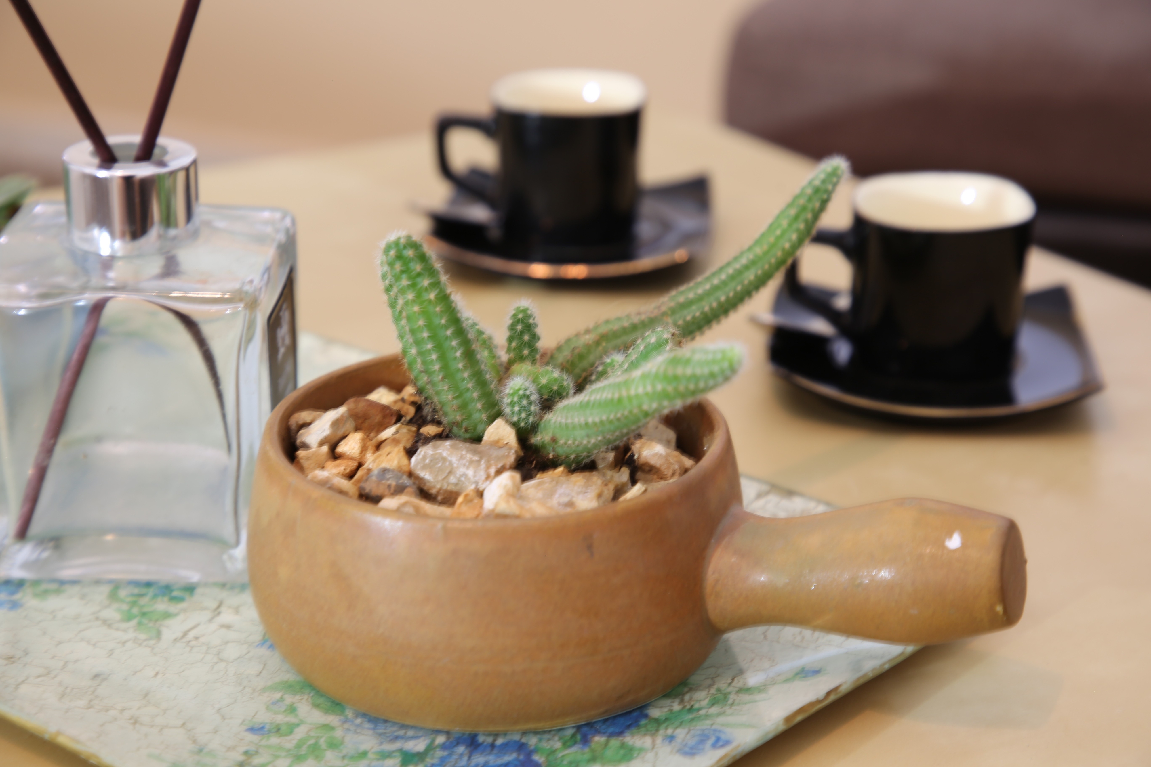 Top Paklenica Seline Top Paklenica Seline