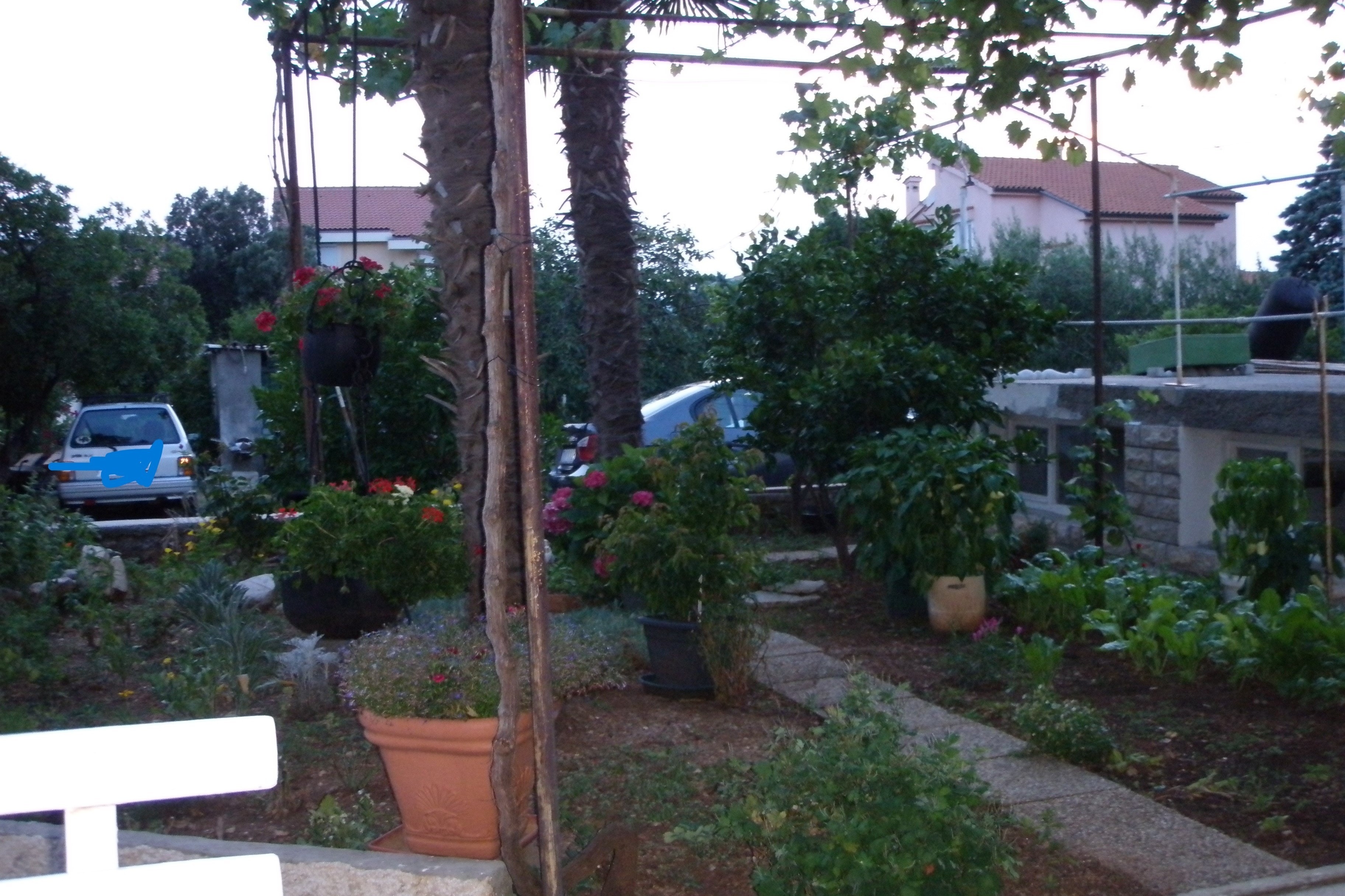 Top Krk Punat Top Krk Punat