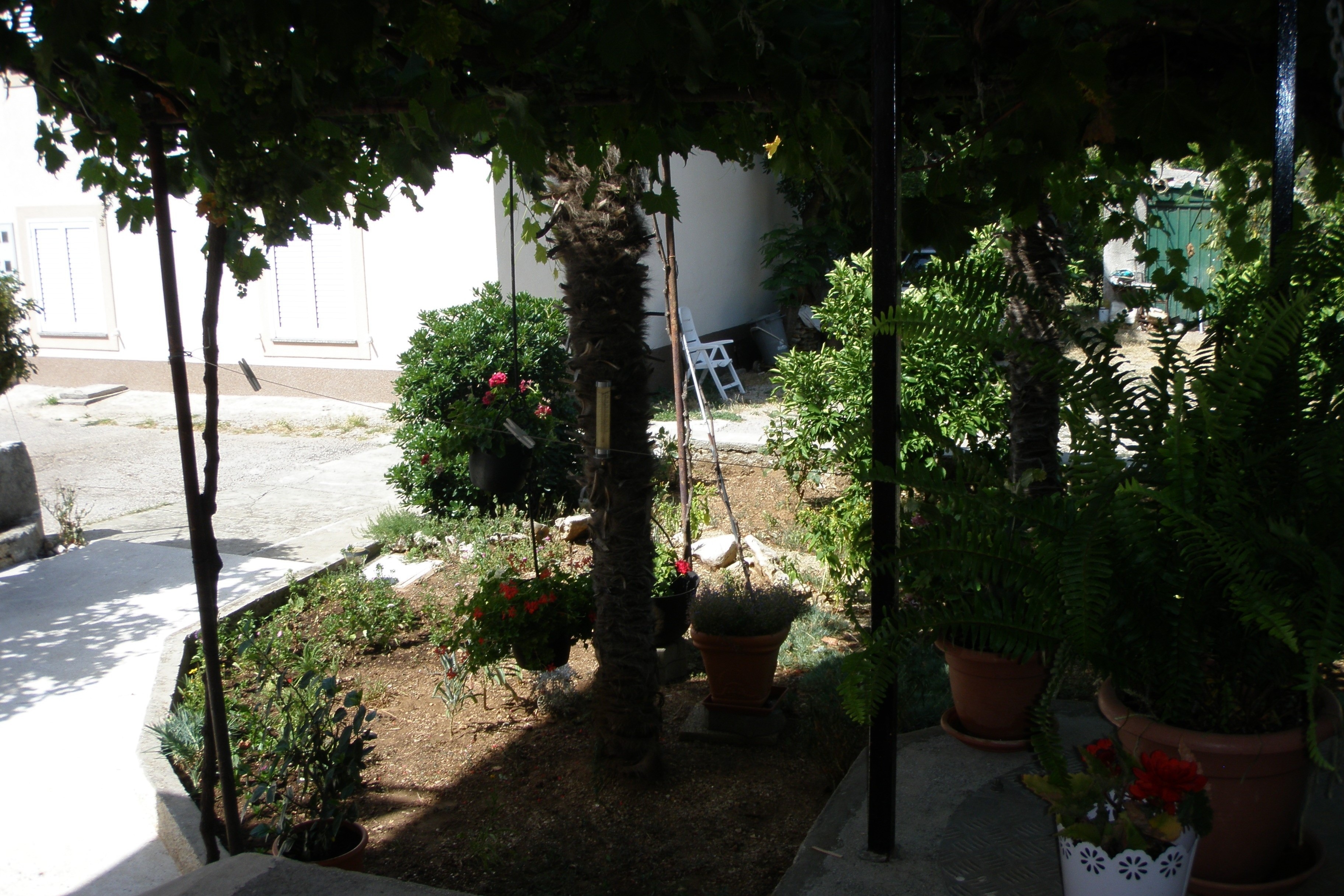 Top Krk Punat Top Krk Punat