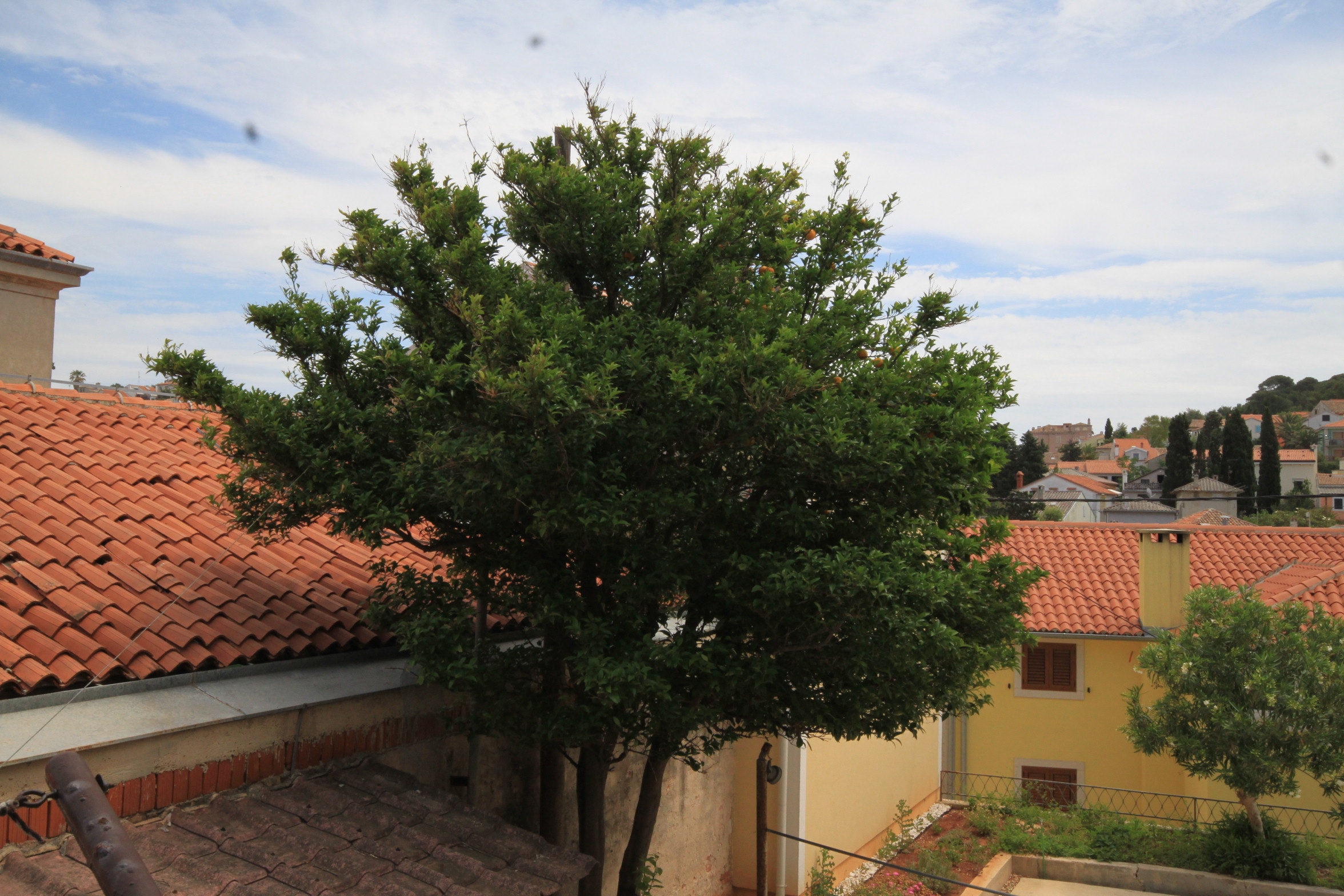 One bedroom apartment with terrace Mali Lošinj, Lošinj  A-a