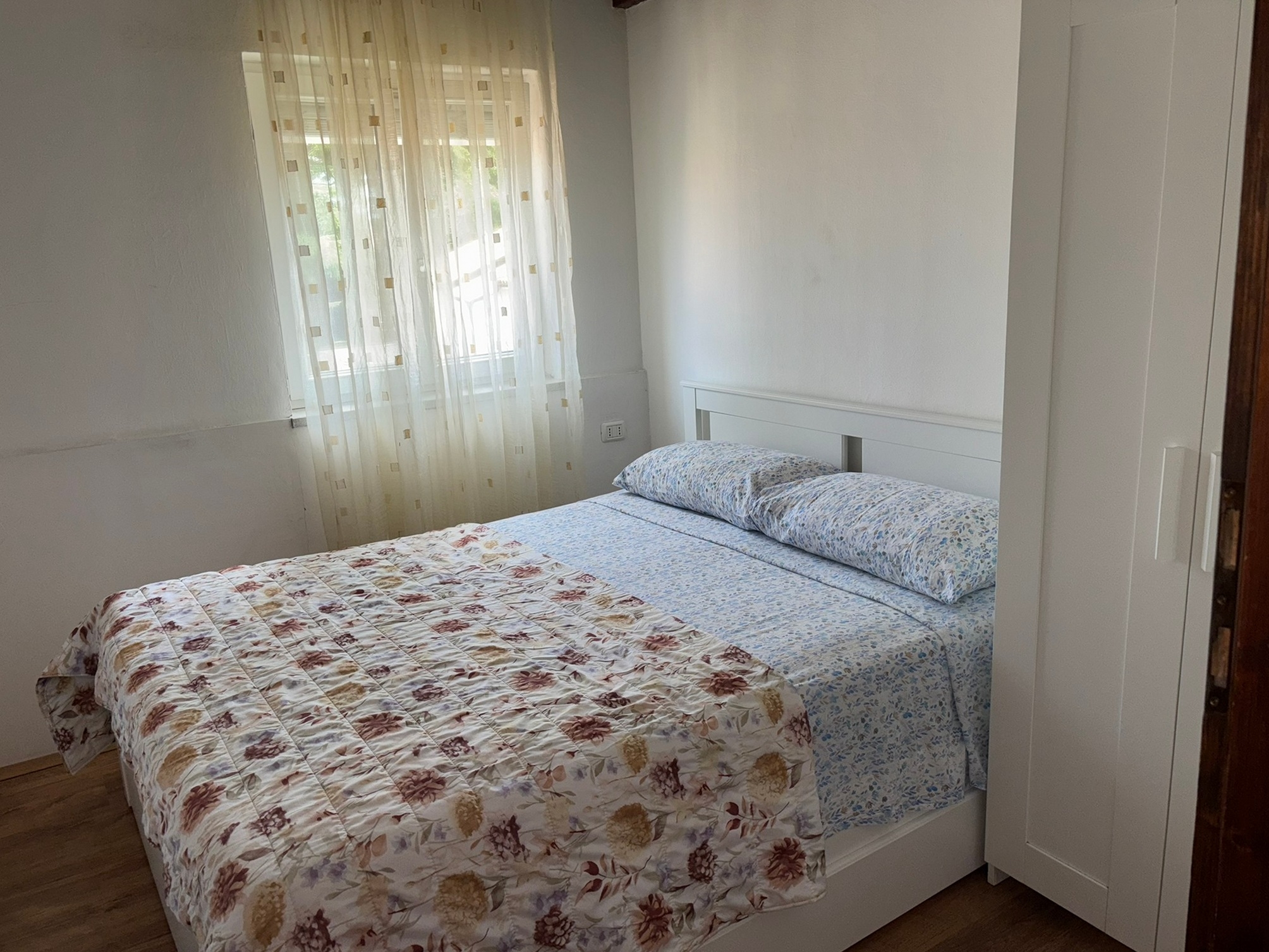 Top Novigrad Top Novigrad