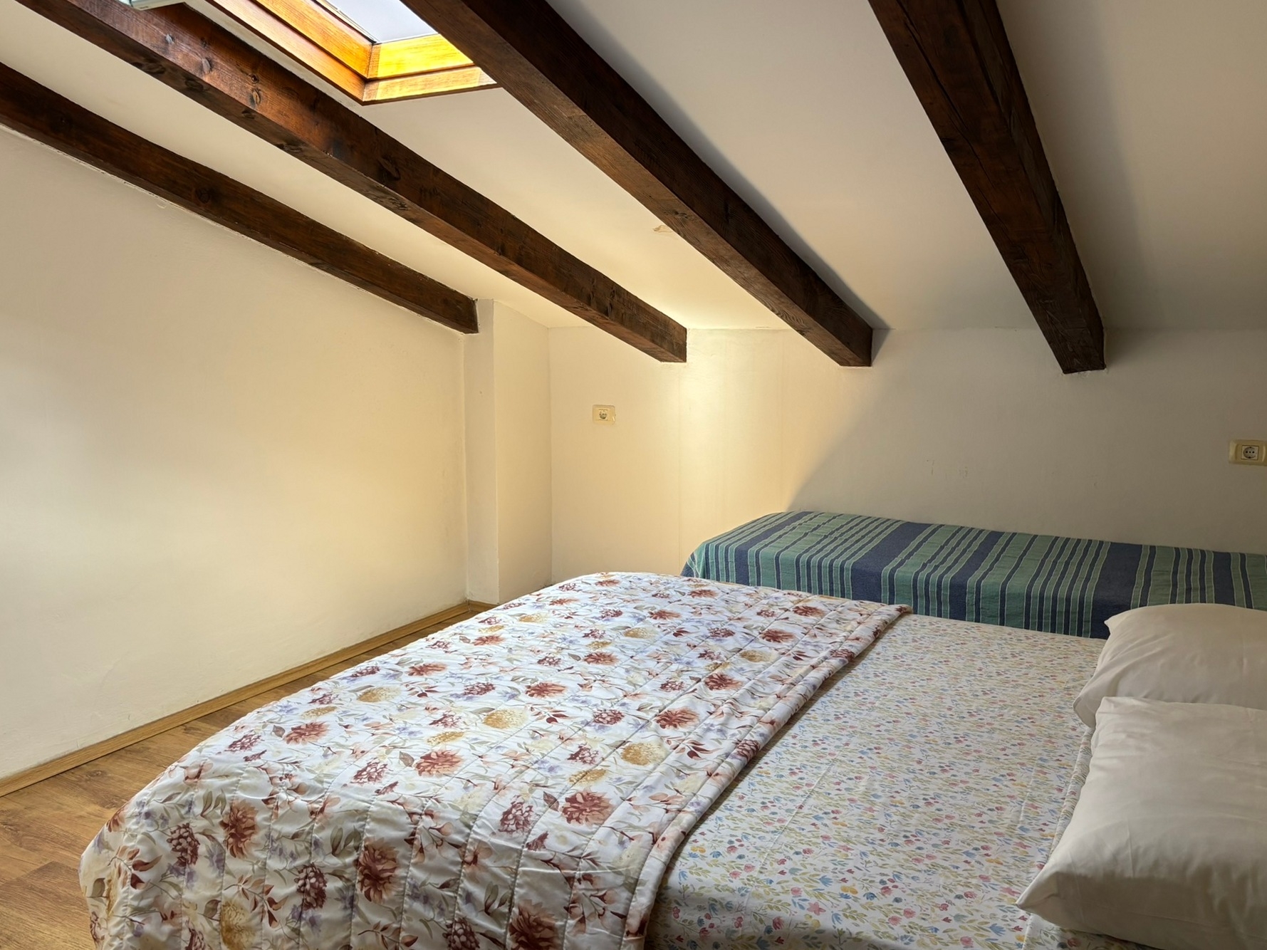 Top Novigrad Top Novigrad