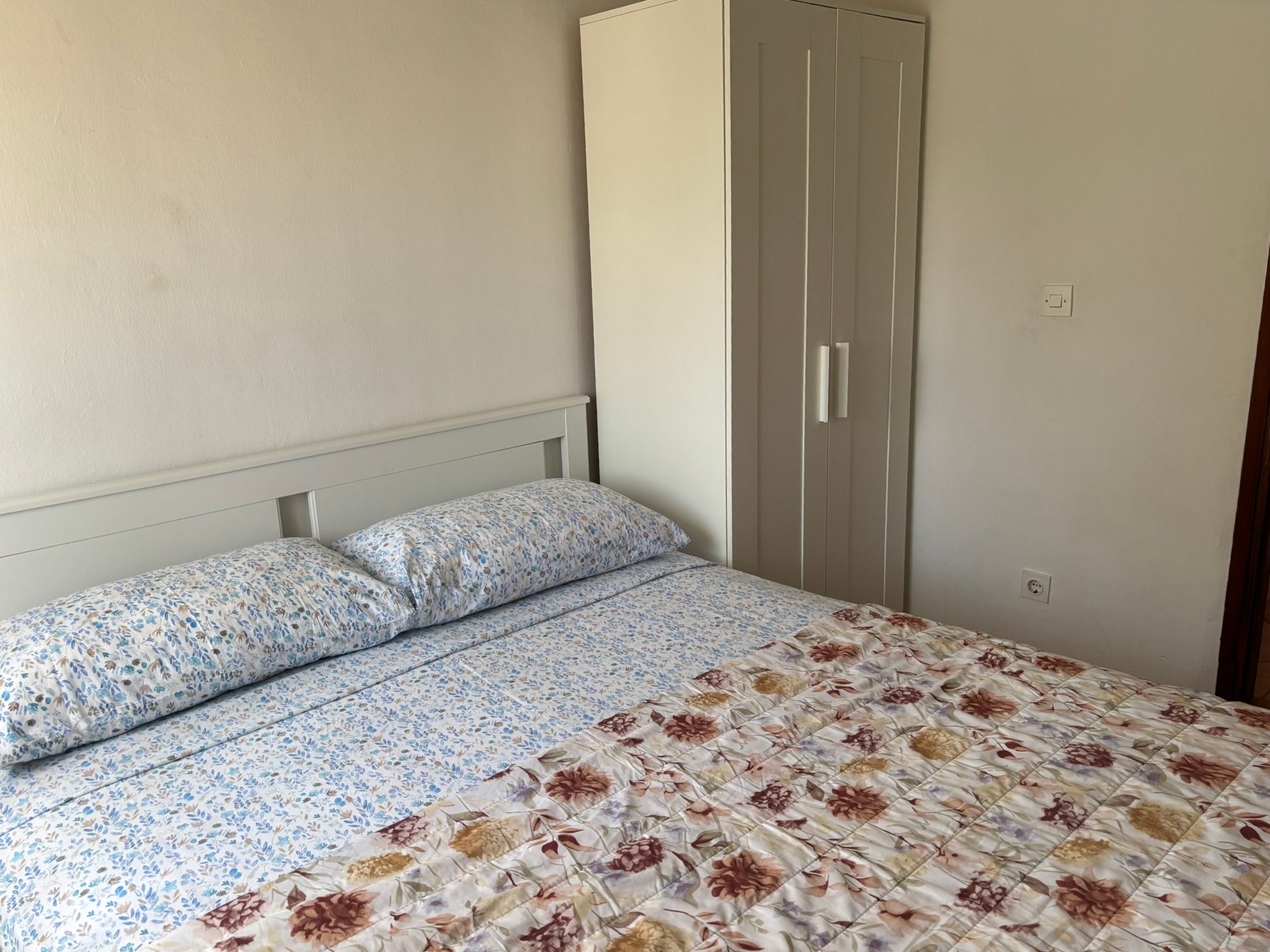 Top Novigrad Top Novigrad