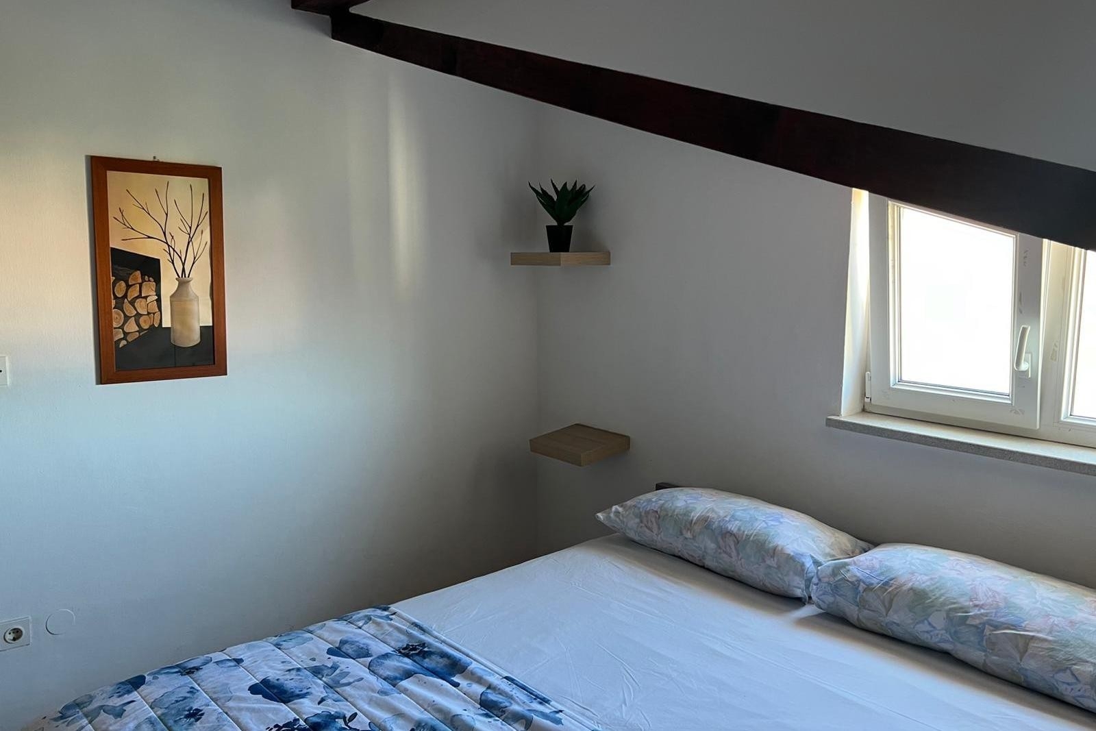 Top Novigrad Top Novigrad