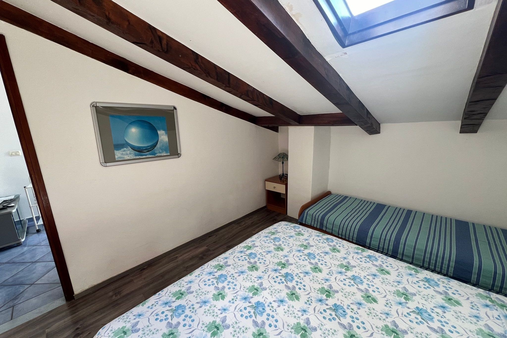 Top Novigrad Top Novigrad