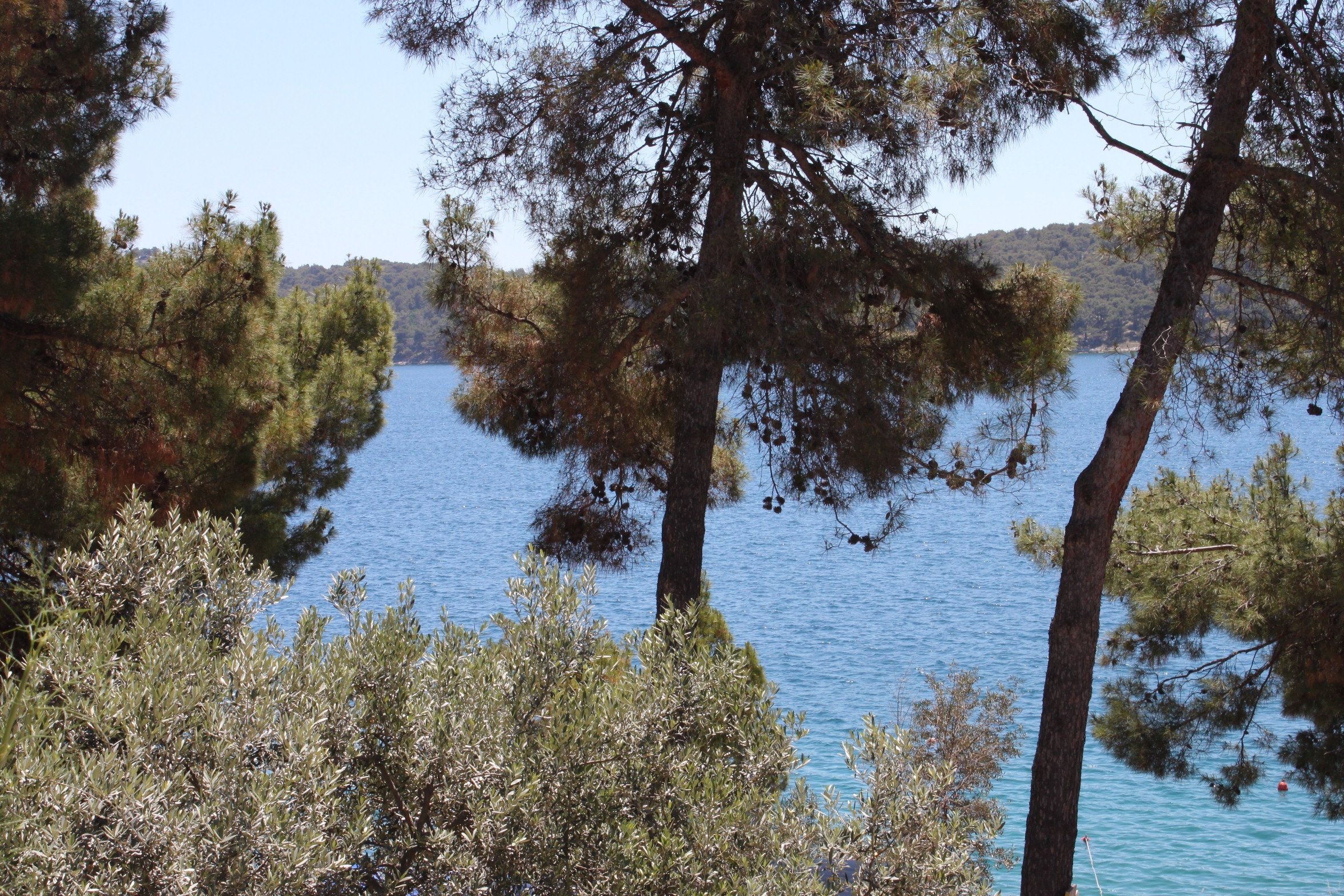 One bedroom apartment with terrace and sea view Mali Lošinj, Lošinj  A-a