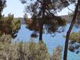 Mali Lošinj, Terrace - view in the apartment, (pet friendly) and WiFi.