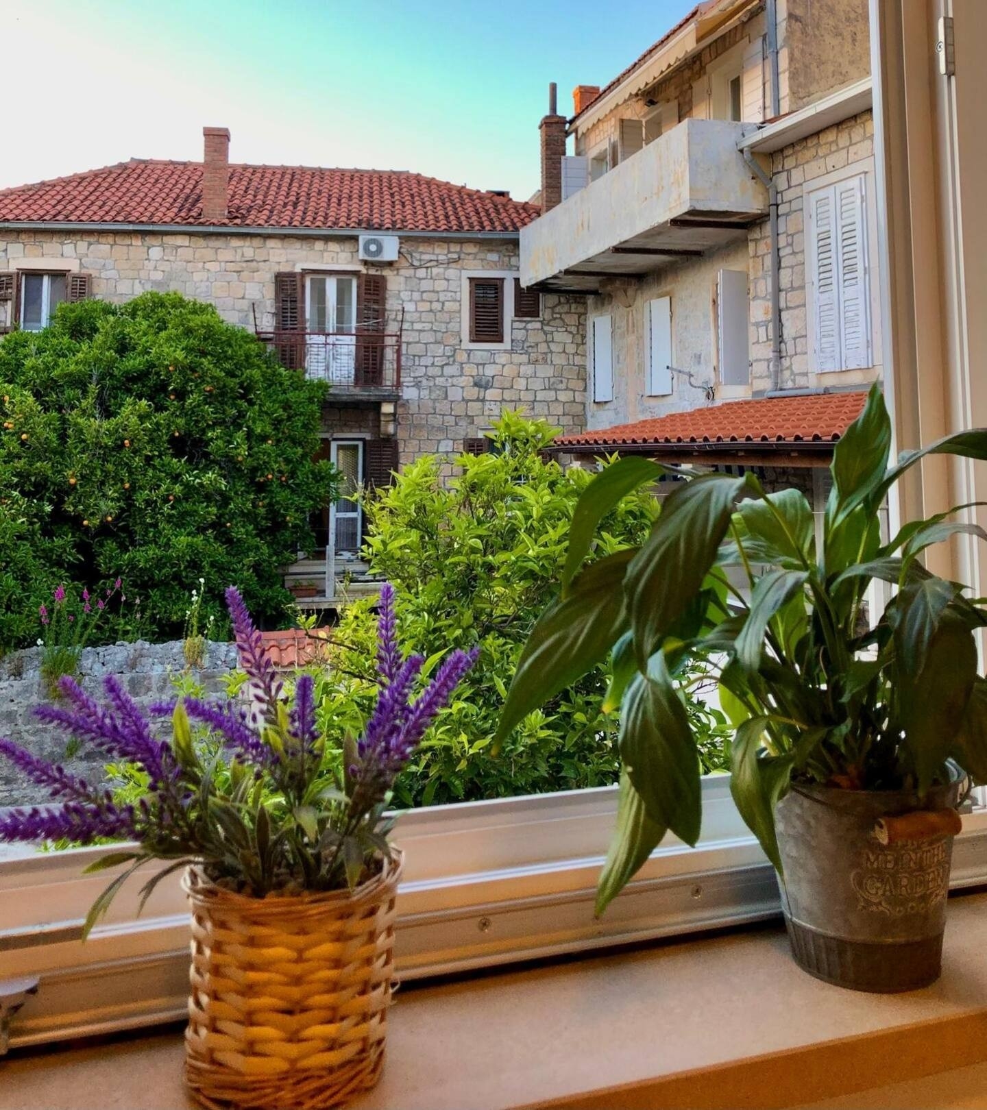 Top Brač Postira Top Brač Postira