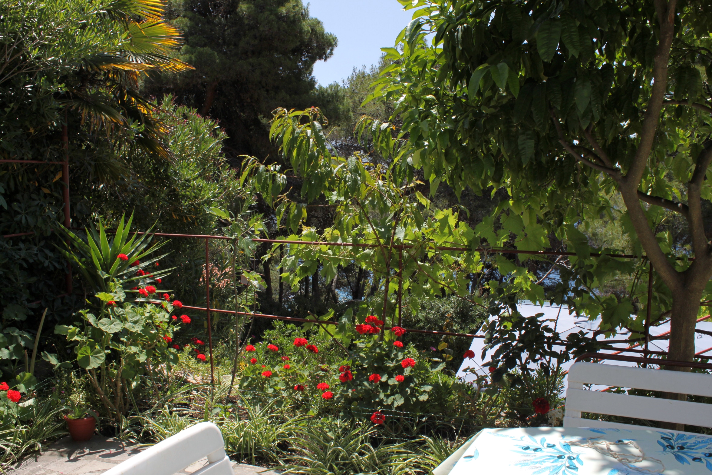 One bedroom apartment with terrace Mali Lošinj, Lošinj  A-a