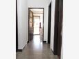 Mali Lošinj, Коридор в размещении типа apartment, доступный кондиционер, Домашние животные допускаются и WiFi.