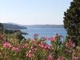 Mali Lošinj, Terrace - view in the apartment, WiFi.