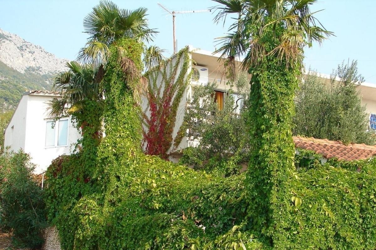 Studio flat with balcony Gradac (Makarska) (AS-24960-a) Studio flat with balcony Gradac (Makarska) (AS-24960-a)