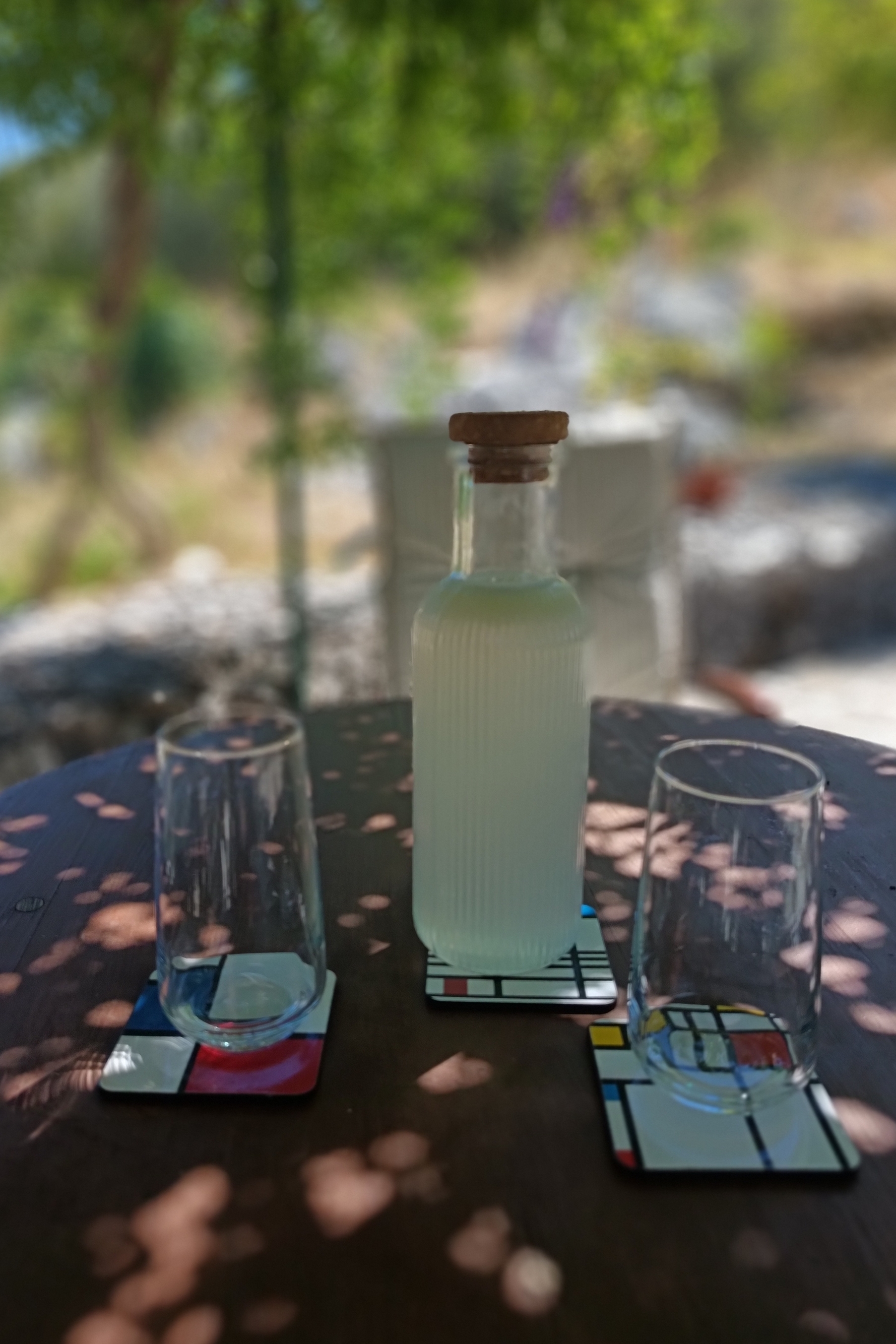 Top Dubrovnik Gruda Top Dubrovnik Gruda