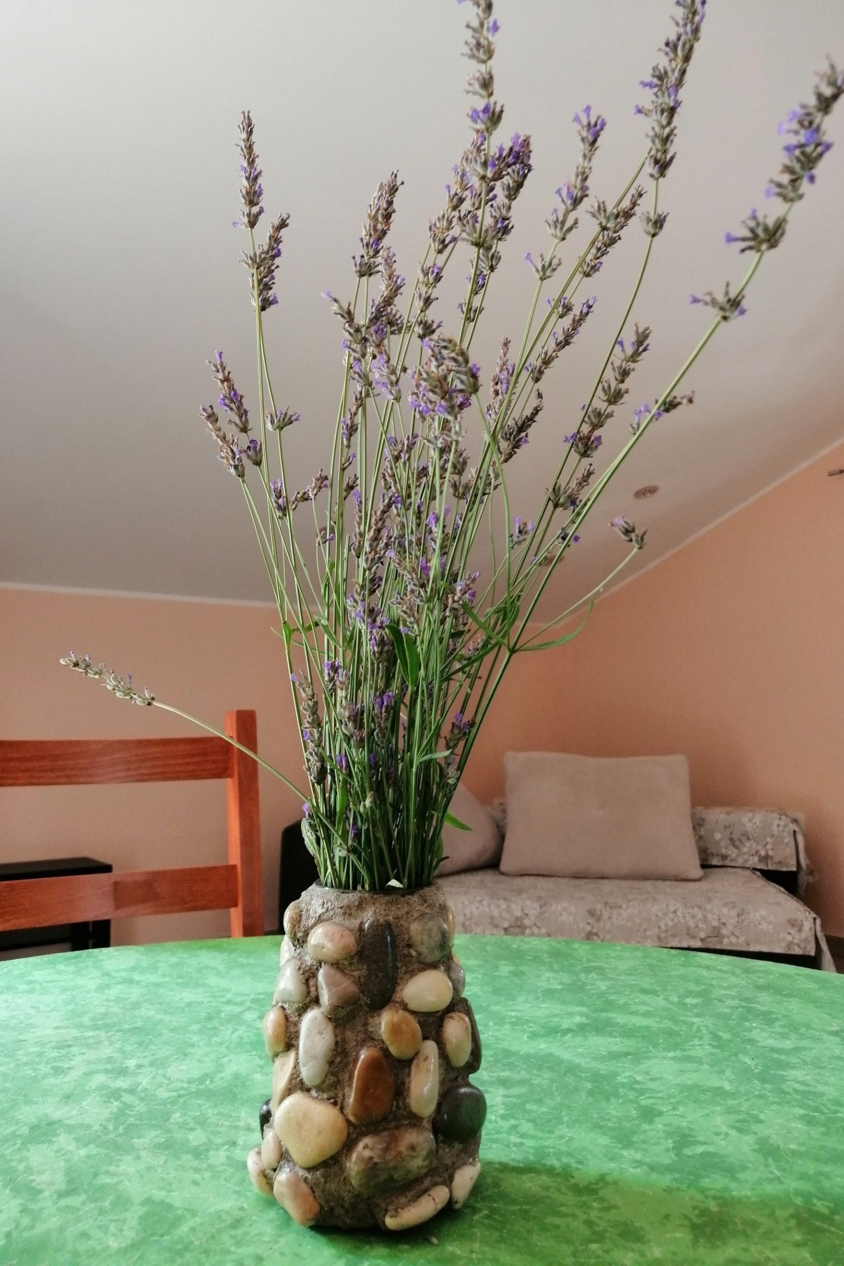 Top Rijeka Dražice Top Rijeka Dražice