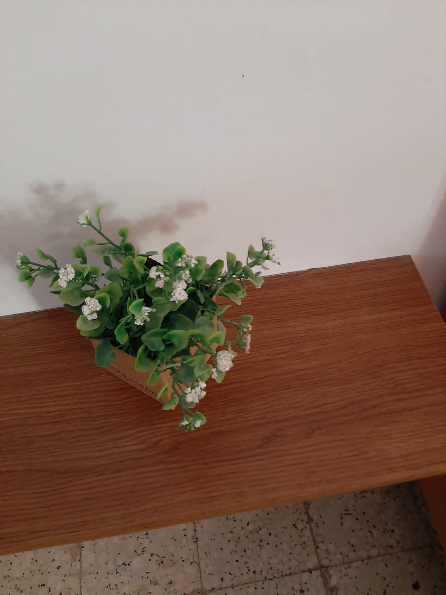 Studio apartman Trpanj, Pelješac  AS-a