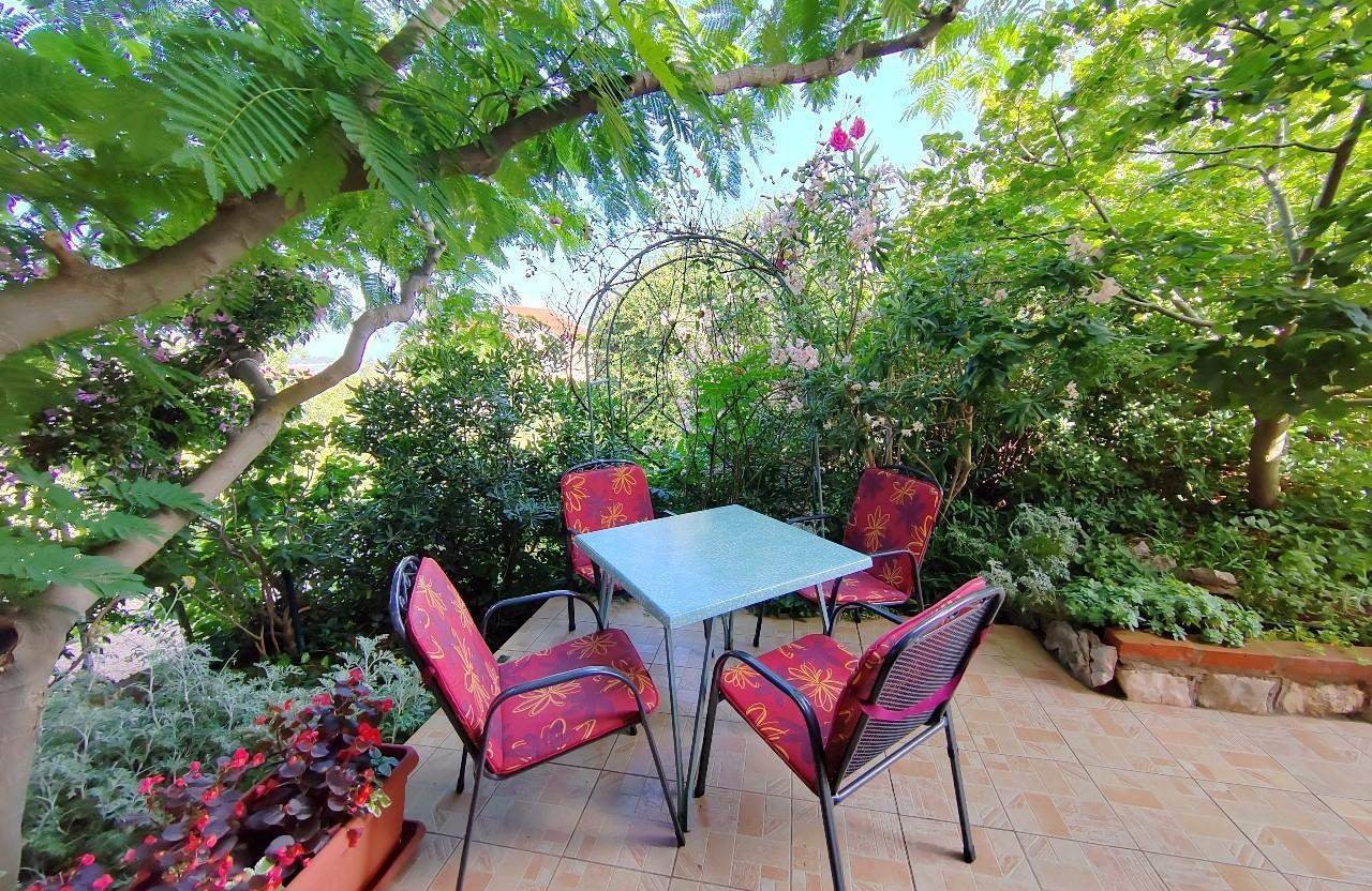 Top Rab Barbat Top Rab Barbat