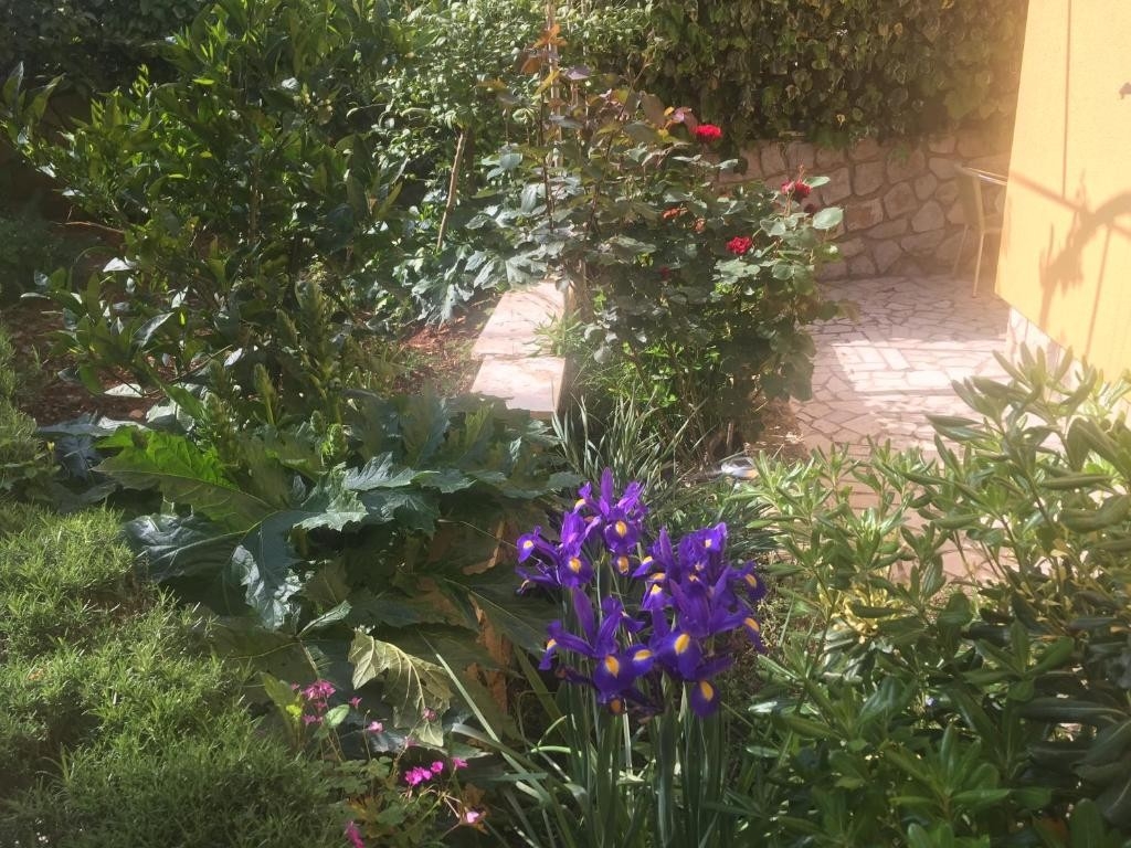 Top Lošinj Mali Lošinj Top Lošinj Mali Lošinj