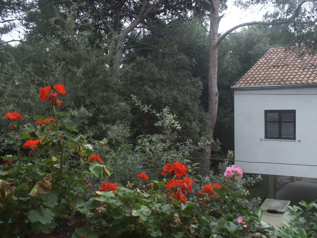 One bedroom apartment with terrace Artatore, Lošinj  A-e