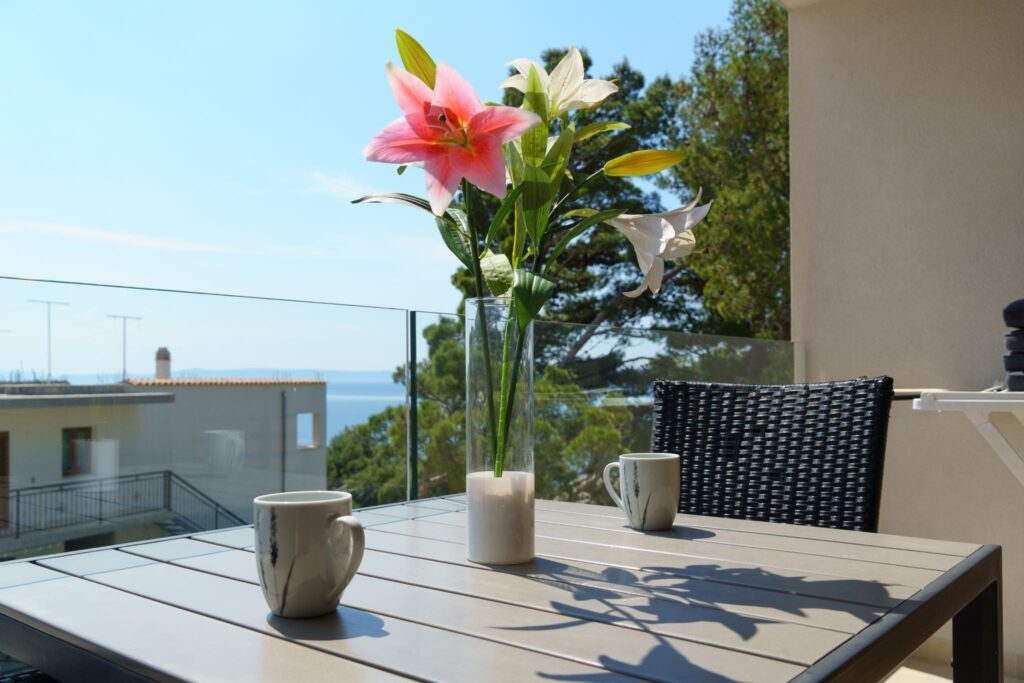 One bedroom apartment with terrace and sea view Brela, Makarska (A-25095-c)