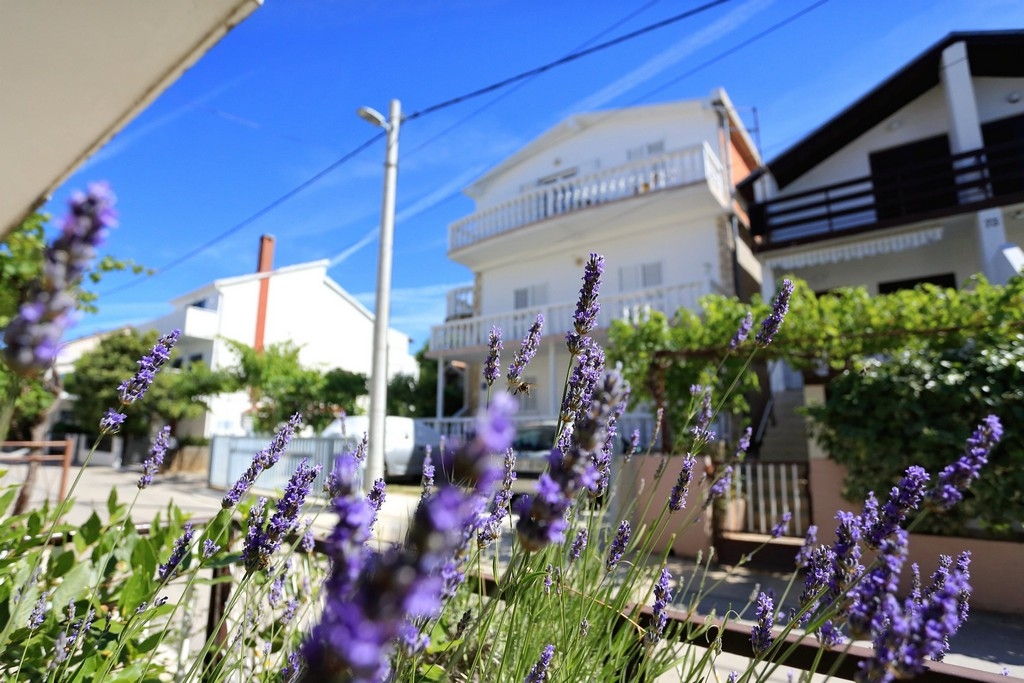 Top Zadar Bibinje Top Zadar Bibinje